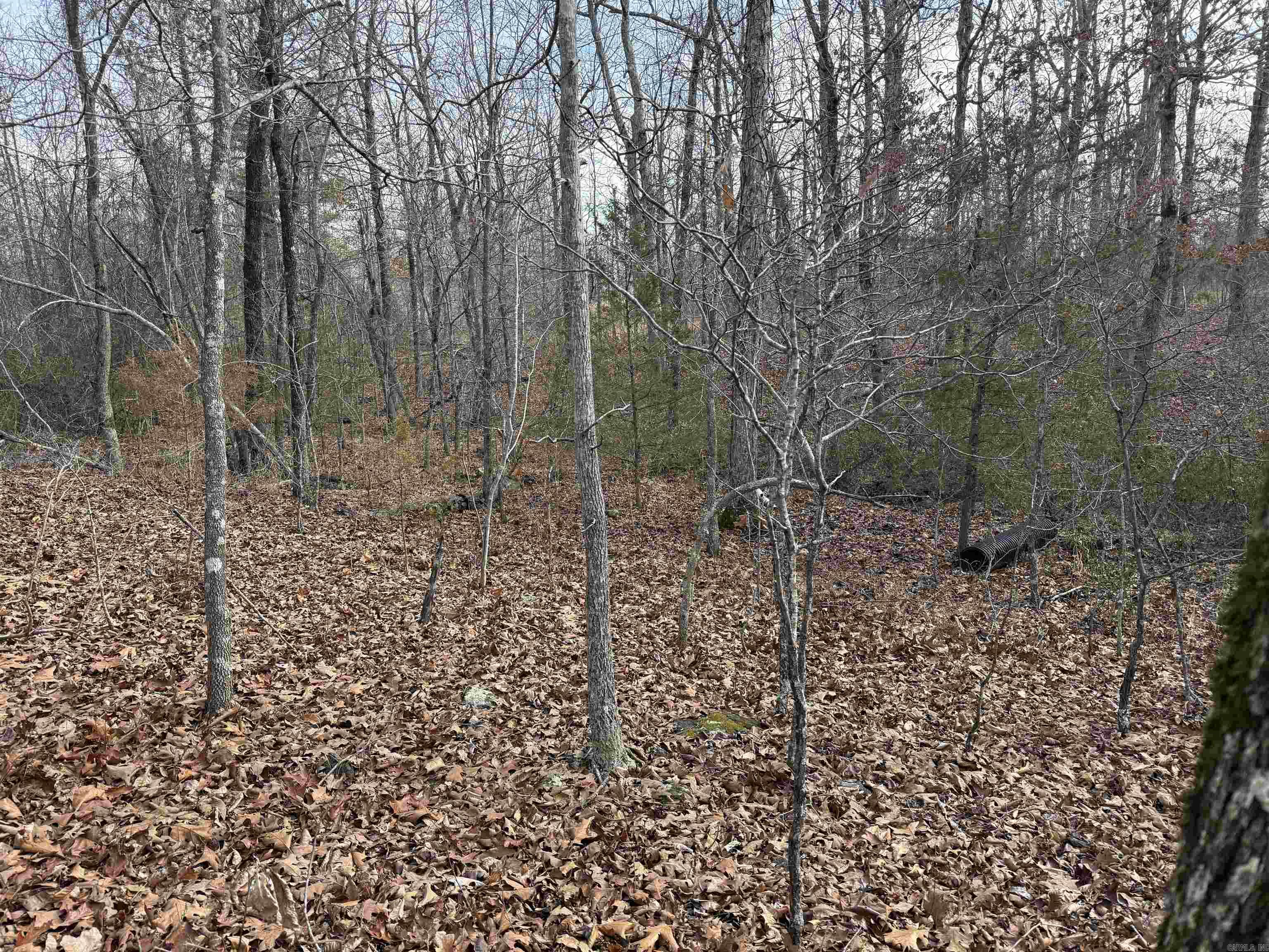 150 Blue Mountain Lane Property Photo 17