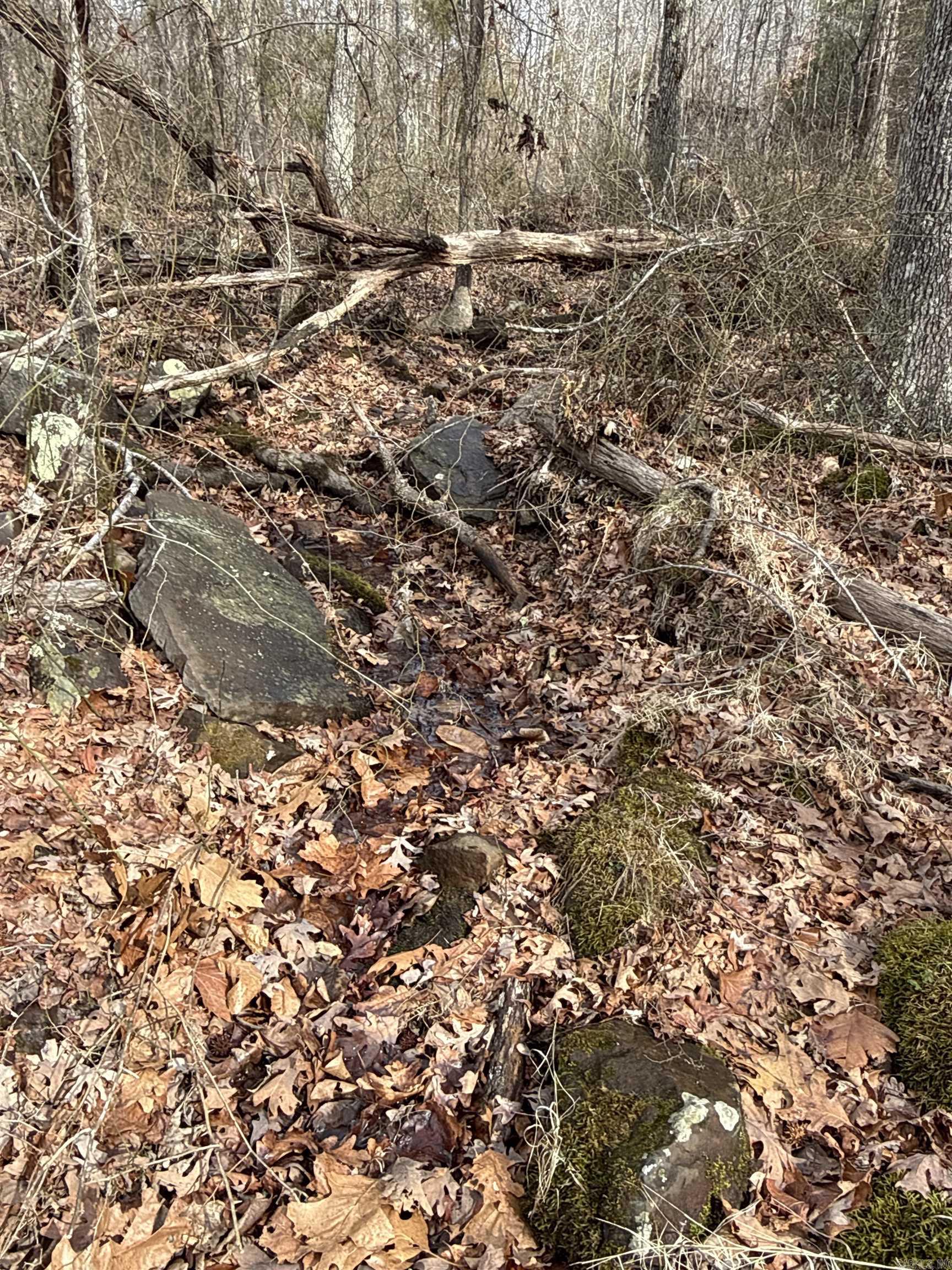 150 Blue Mountain Lane Property Photo 18