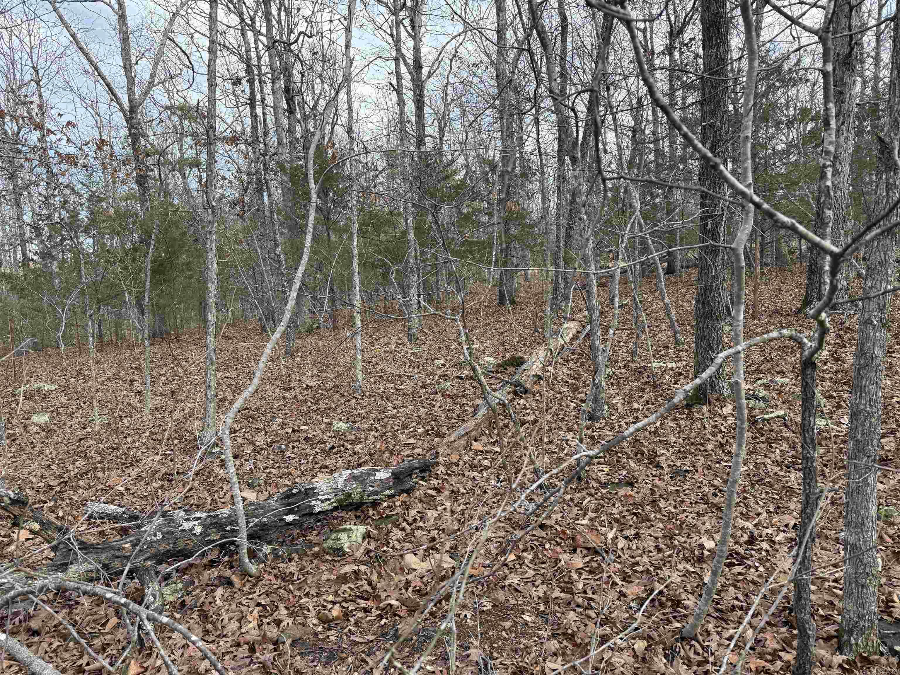 150 Blue Mountain Lane Property Photo 21