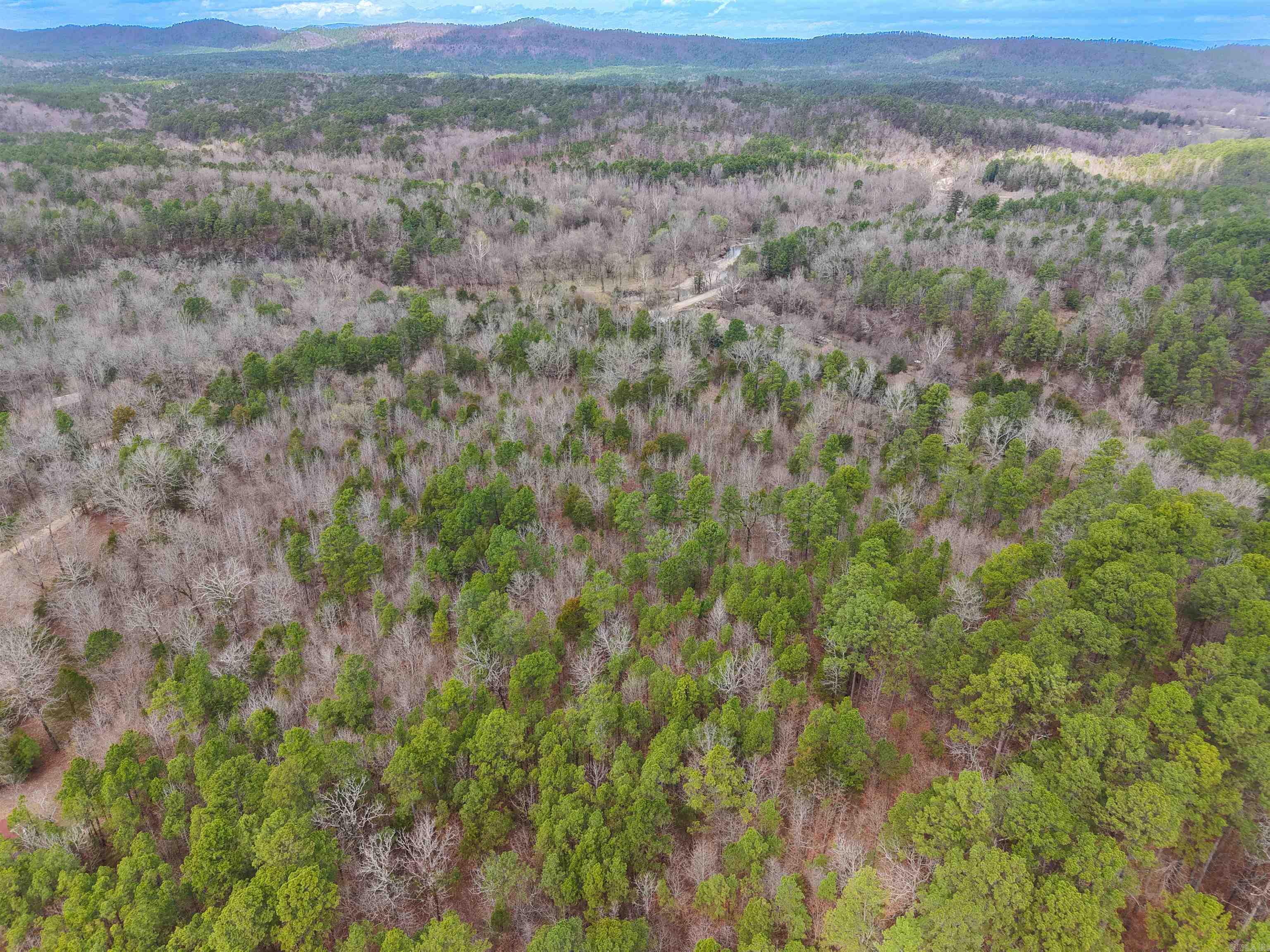 TBD Gaston Road Property Photo 1