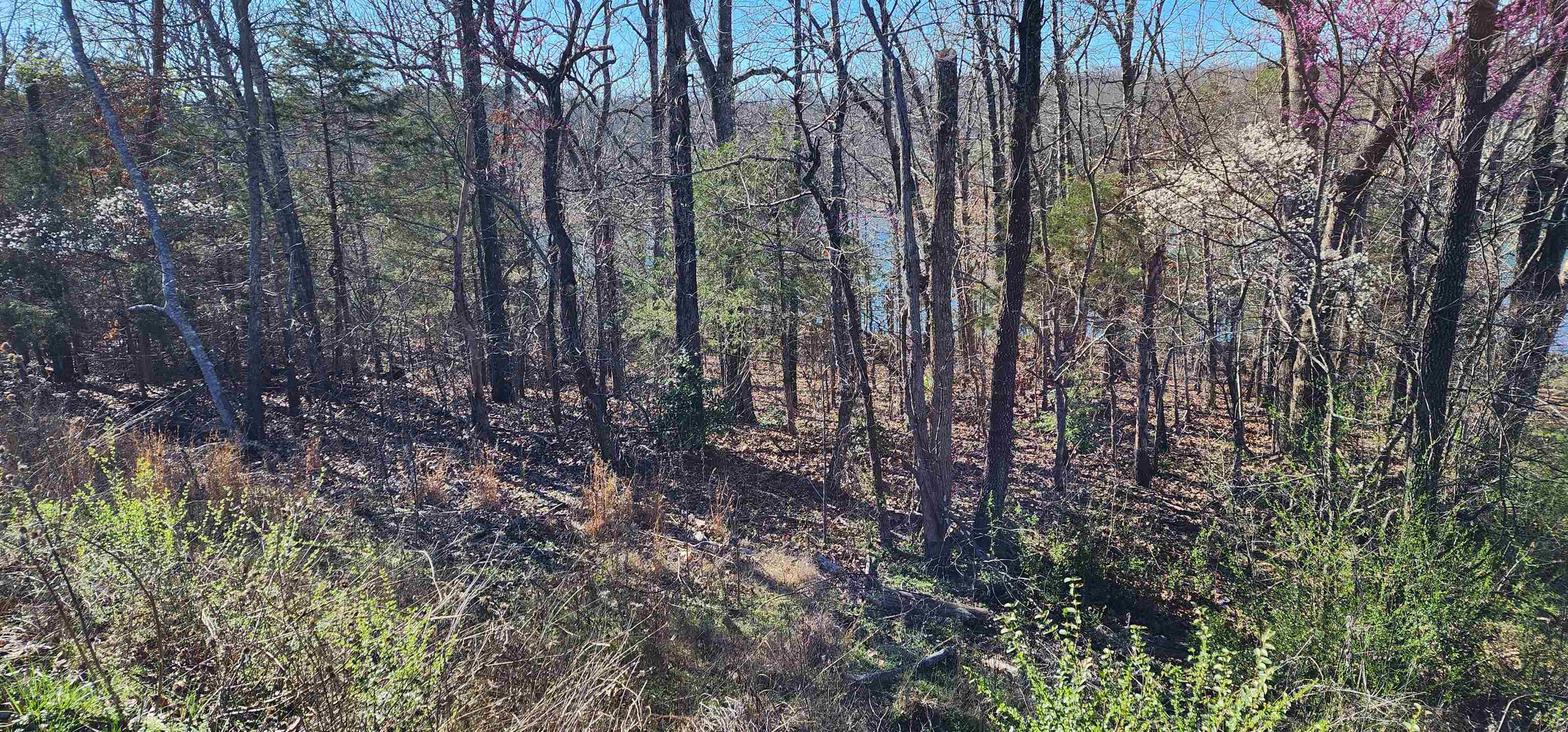 TBD Isleta Drive Property Photo 1