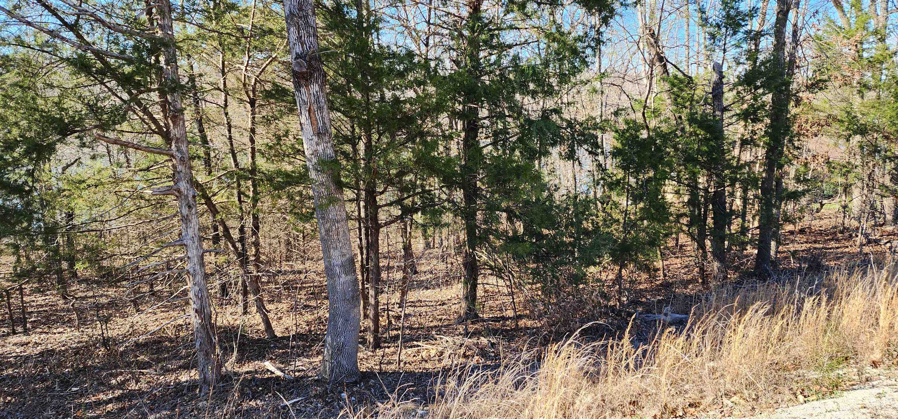 Tbd Isleta Drive Property Photo 4
