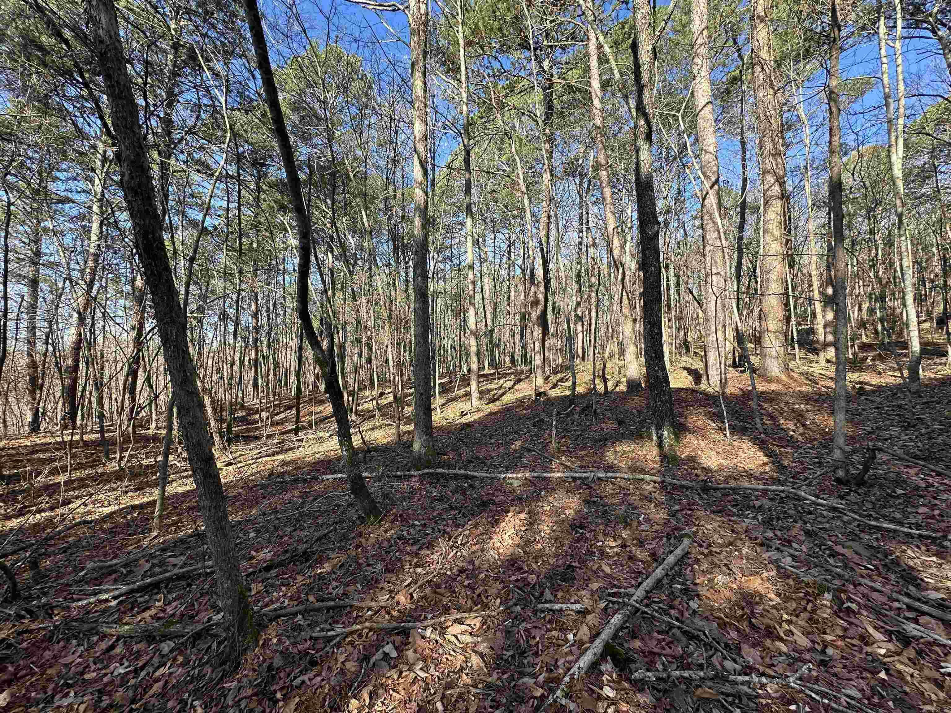 000 Bear Mountain Road Property Photo 2
