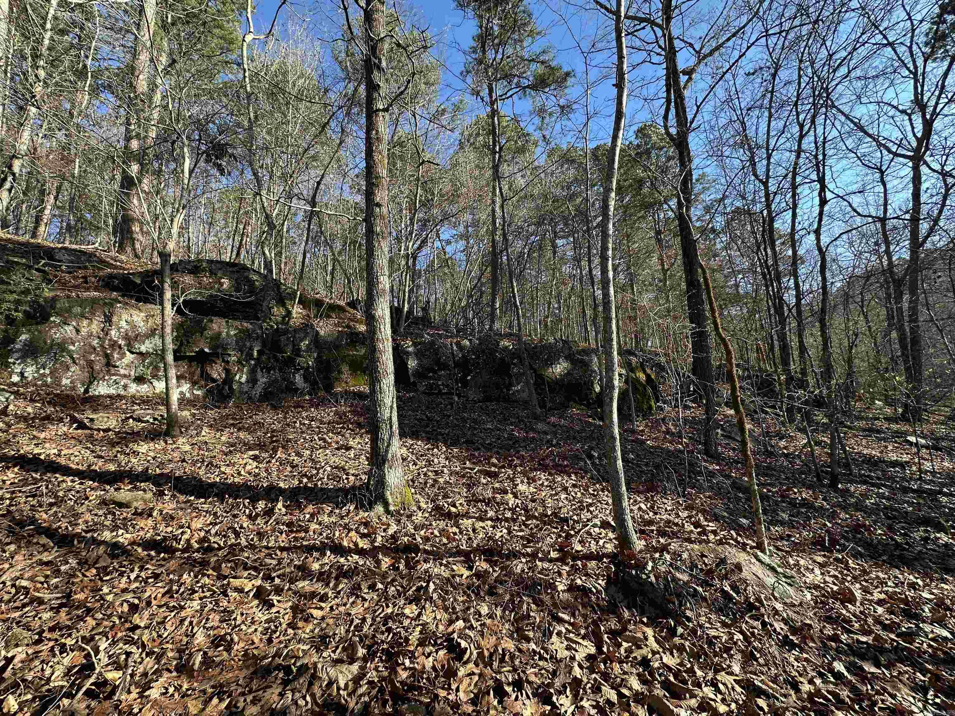000 Bear Mountain Road Property Photo 3