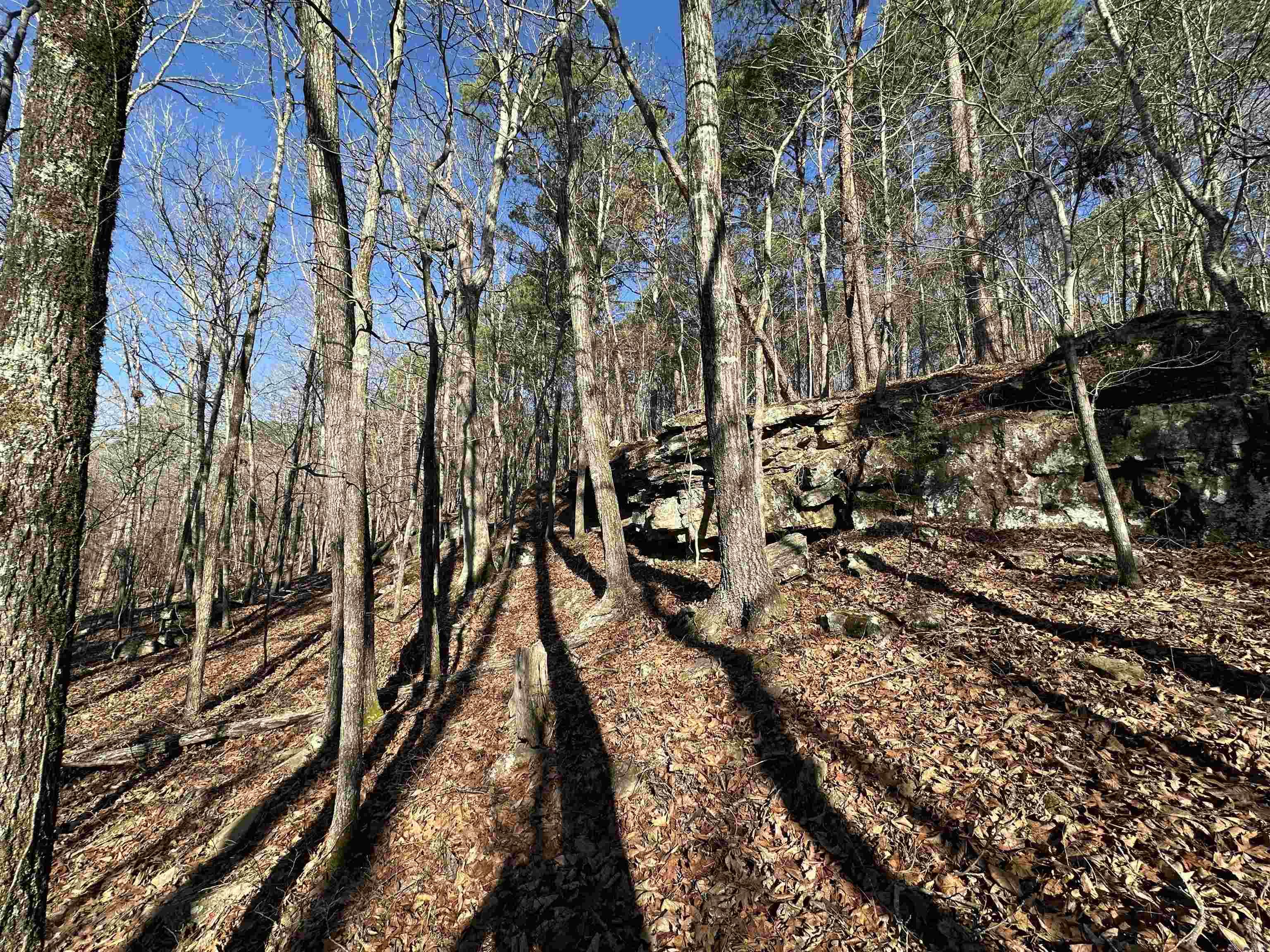 000 Bear Mountain Road Property Photo 4
