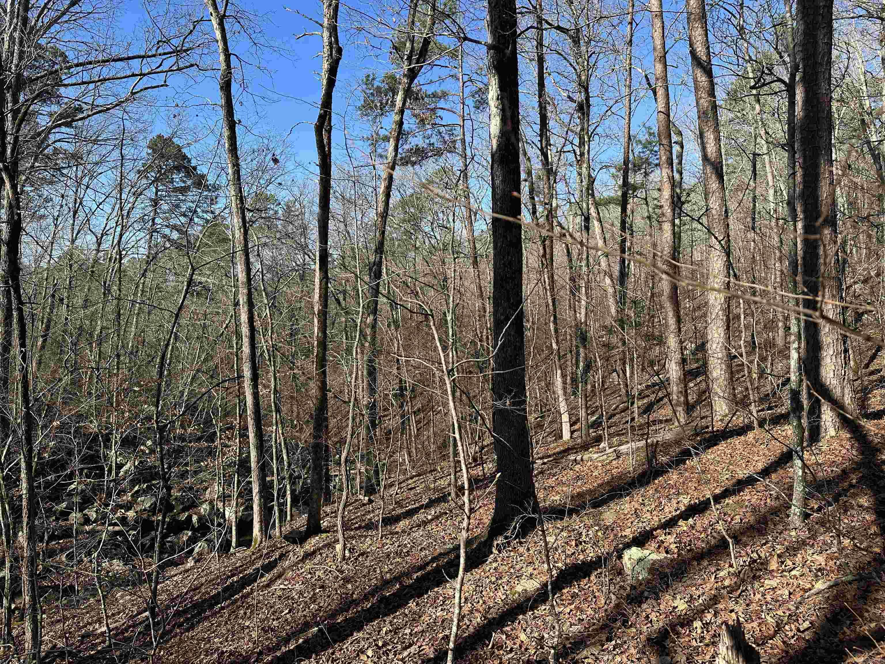 000 Bear Mountain Road Property Photo 5