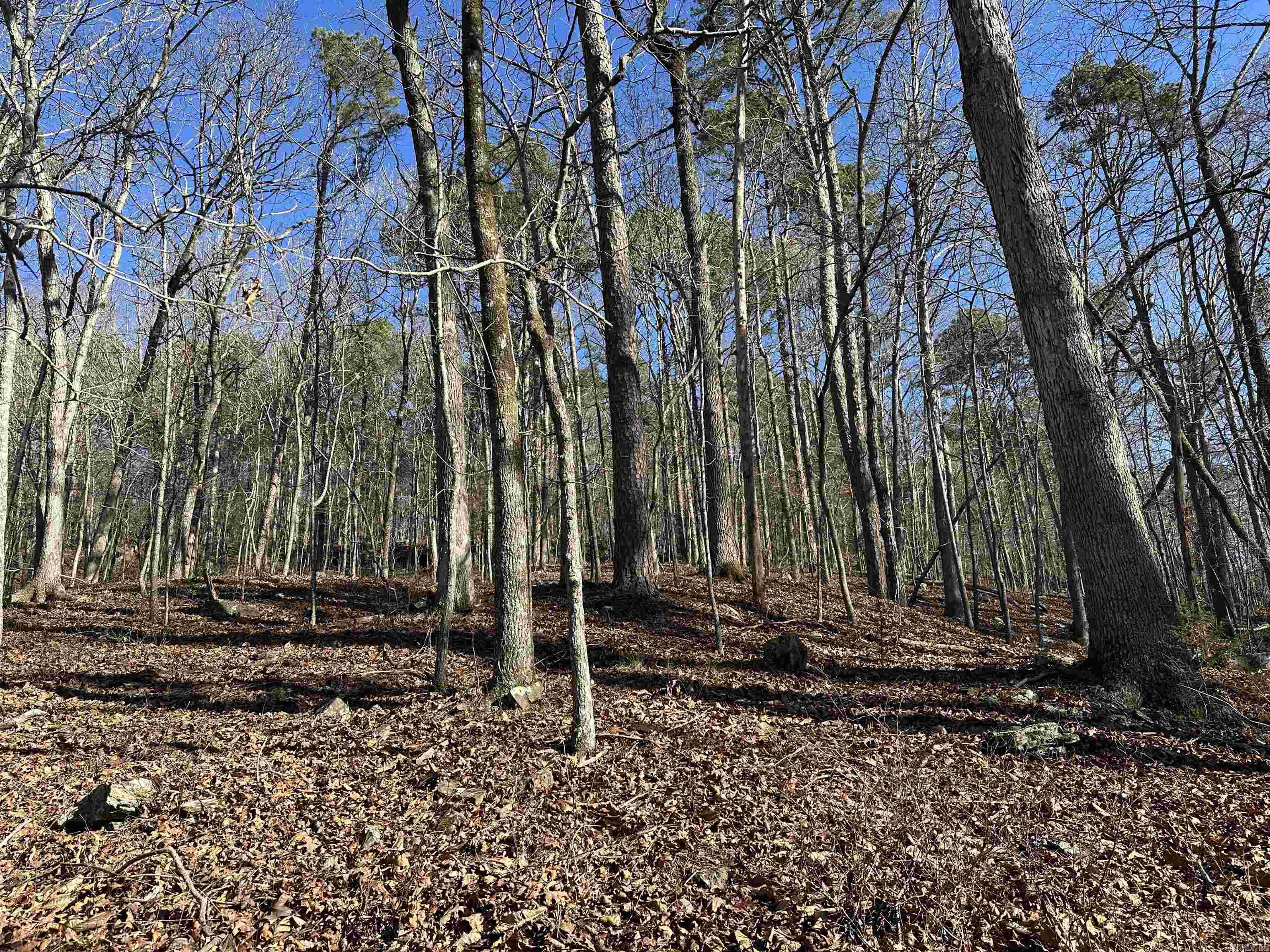 000 Bear Mountain Road Property Photo 6