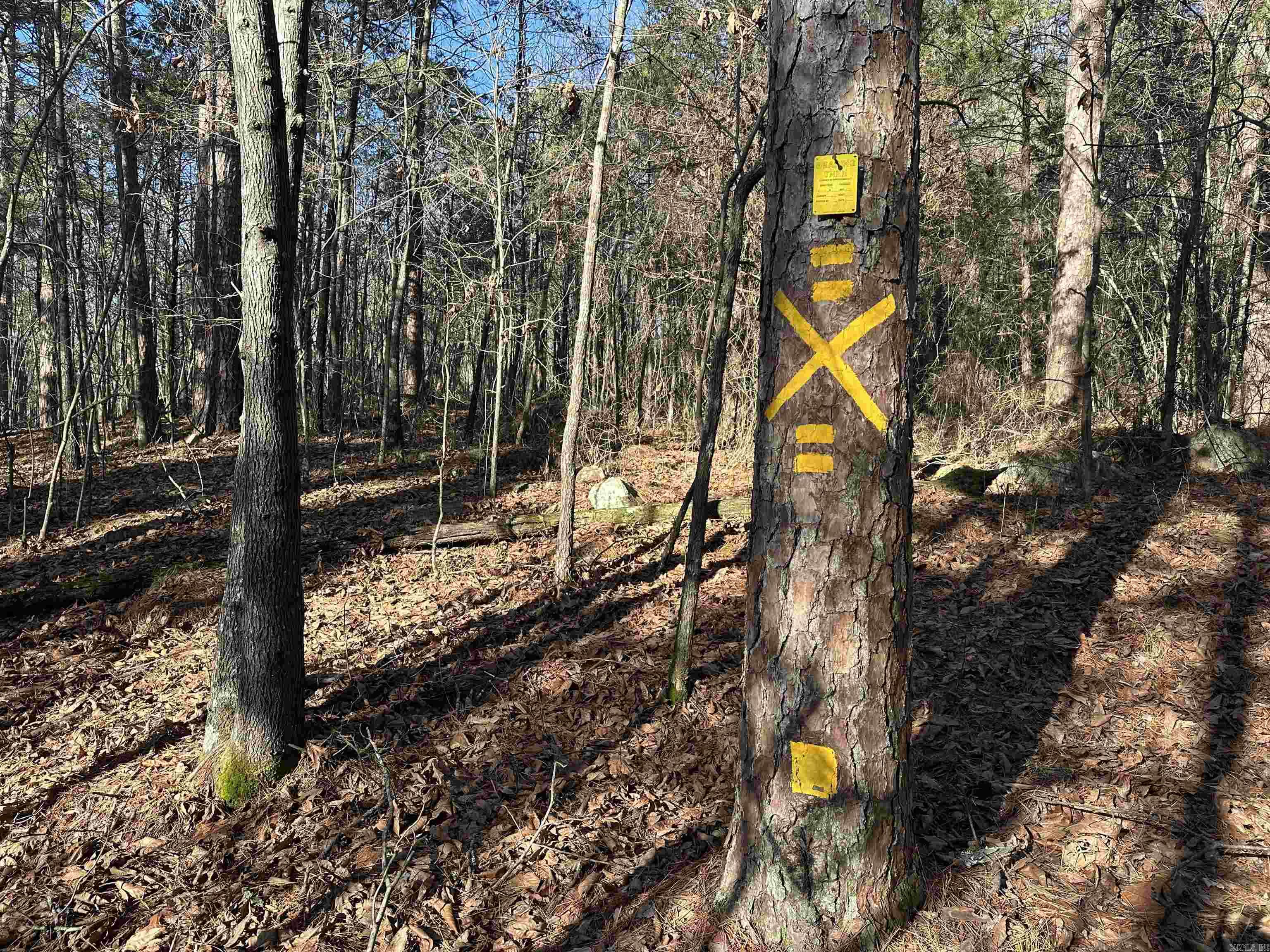 000 Bear Mountain Road Property Photo 8