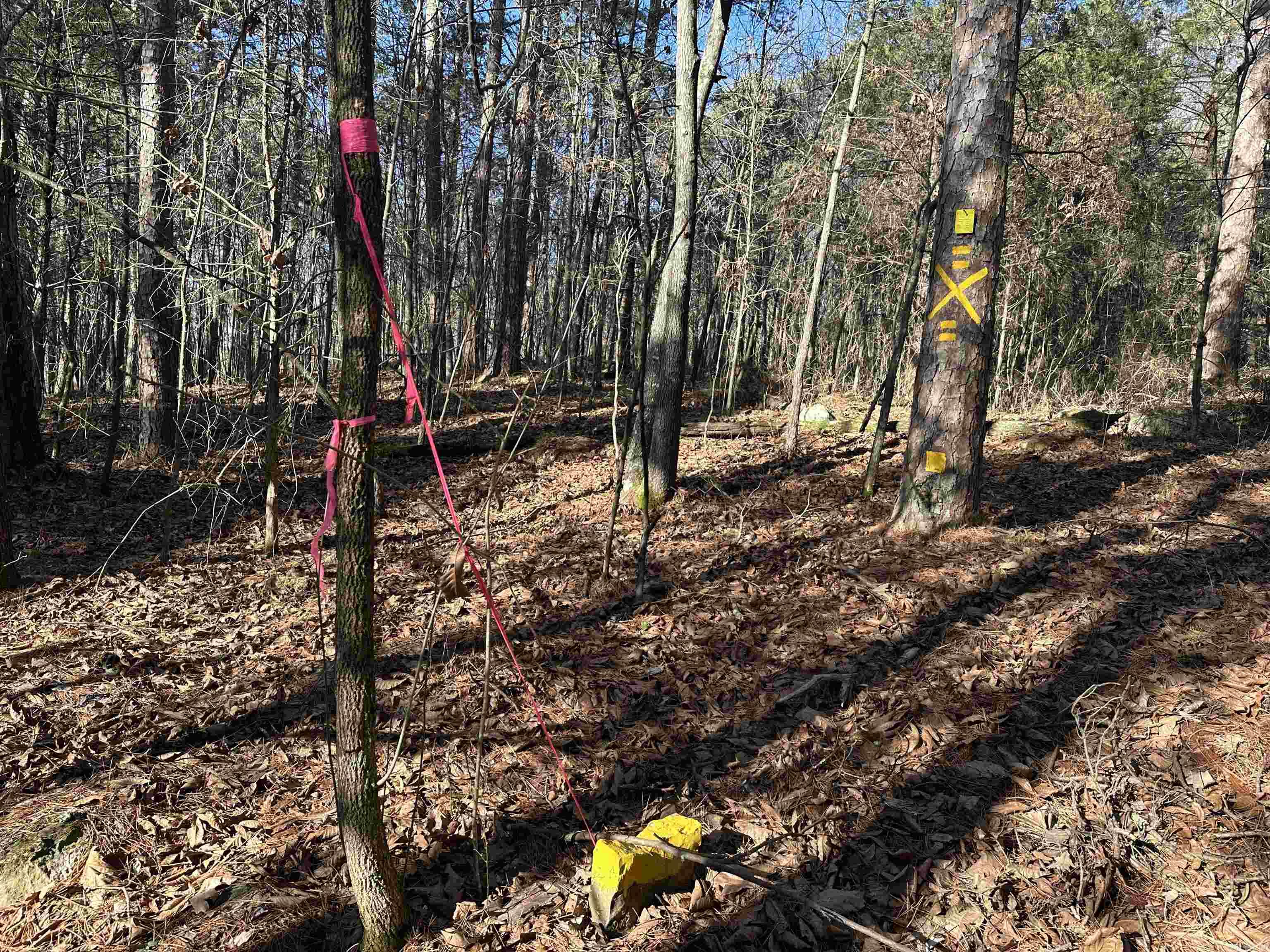 000 Bear Mountain Road Property Photo 9