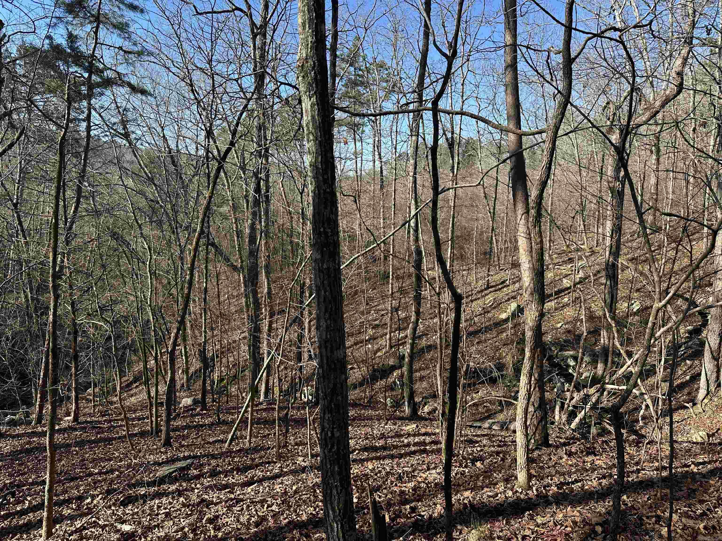 000 Bear Mountain Road Property Photo 10