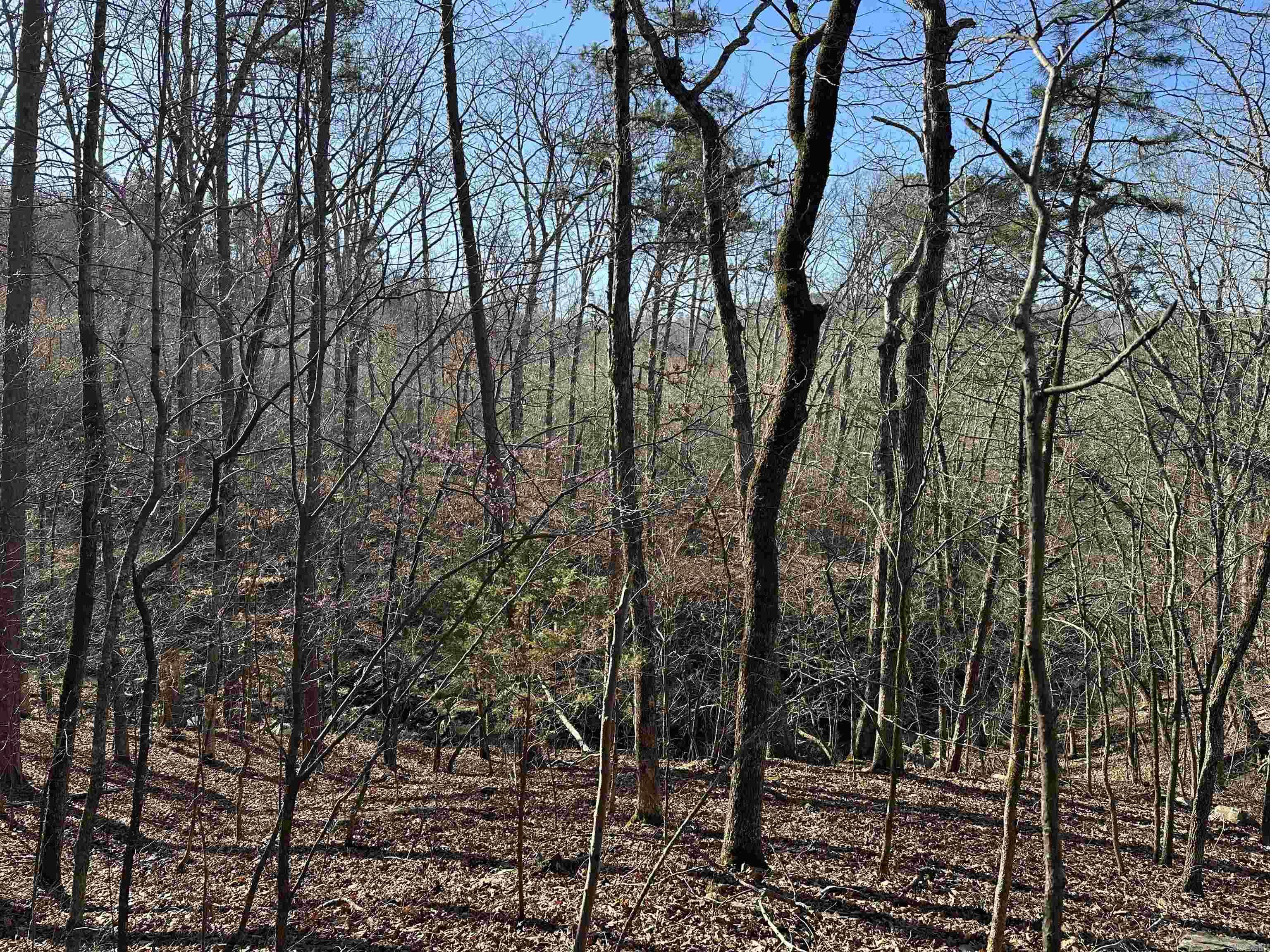 000 Bear Mountain Road Property Photo 11