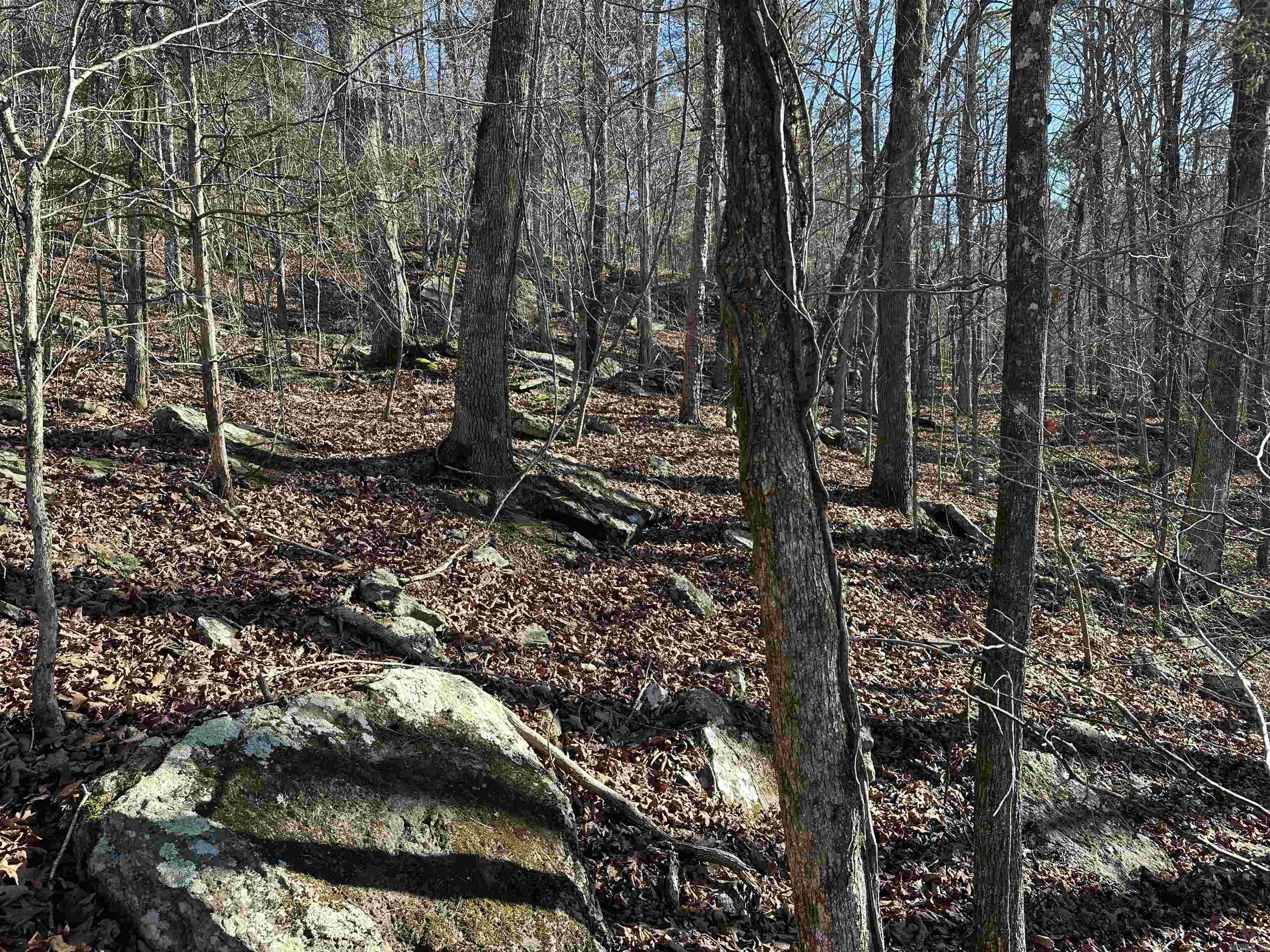 000 Bear Mountain Road Property Photo 12
