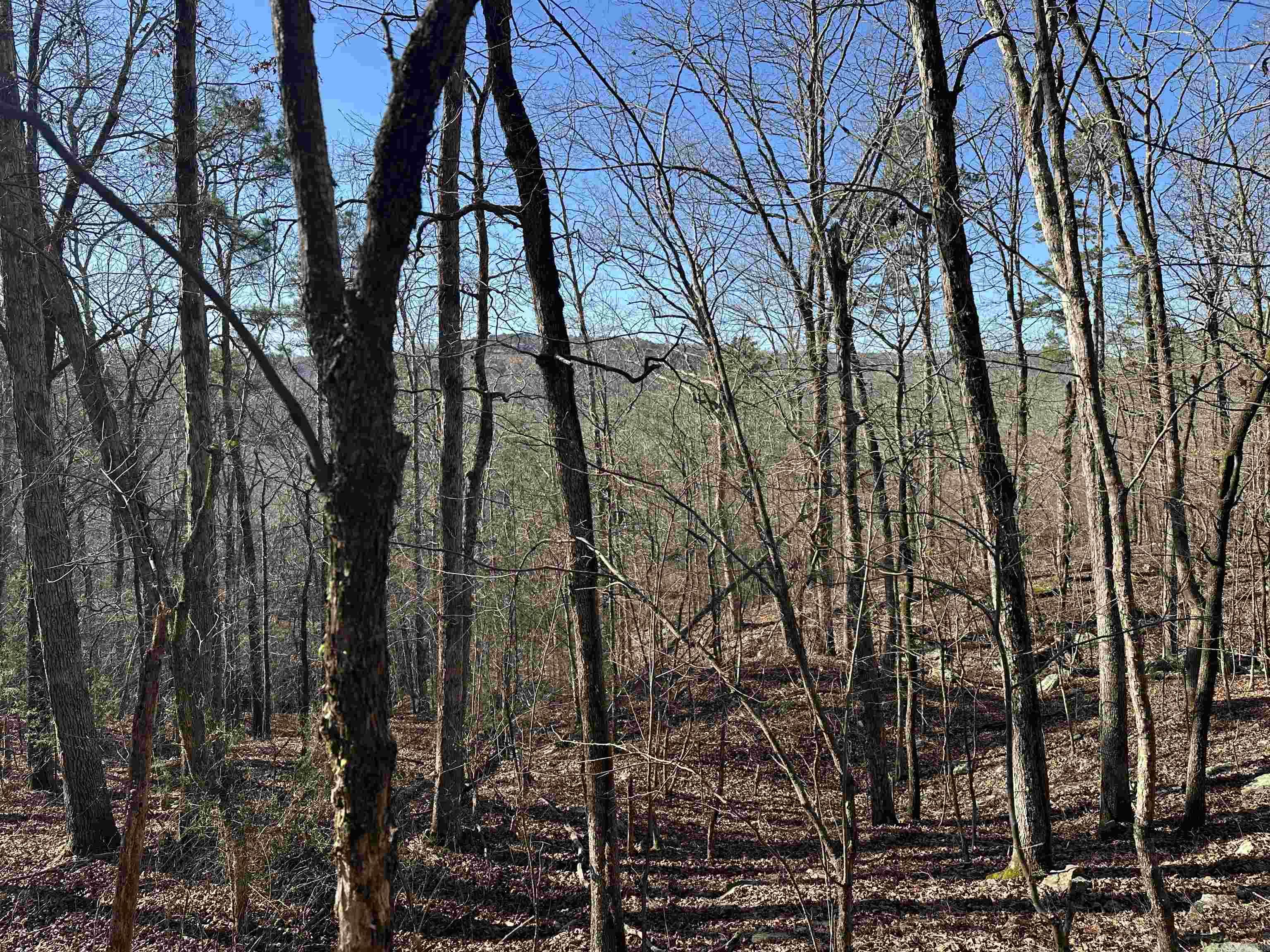 000 Bear Mountain Road Property Photo 13
