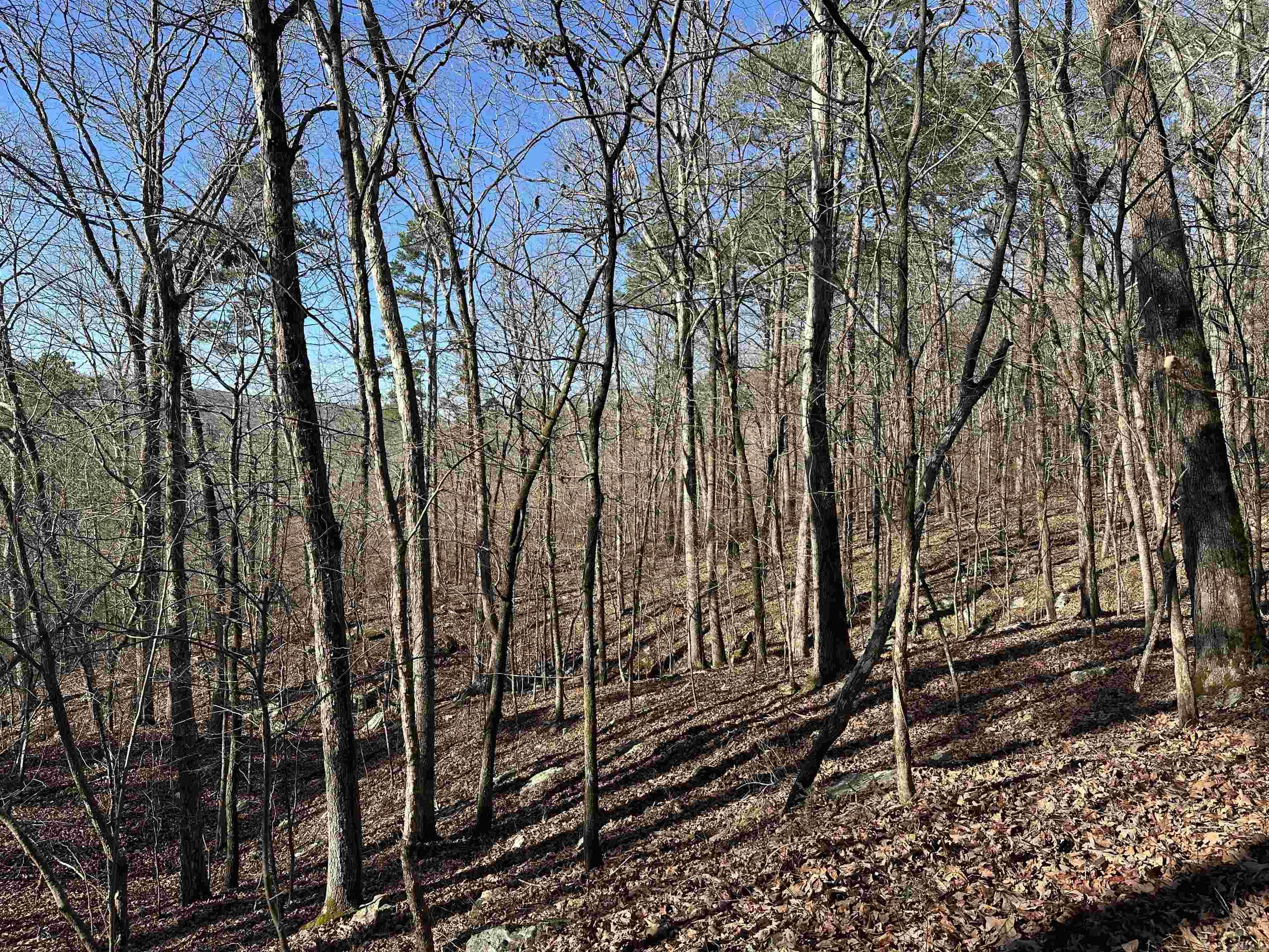 000 Bear Mountain Road Property Photo 14