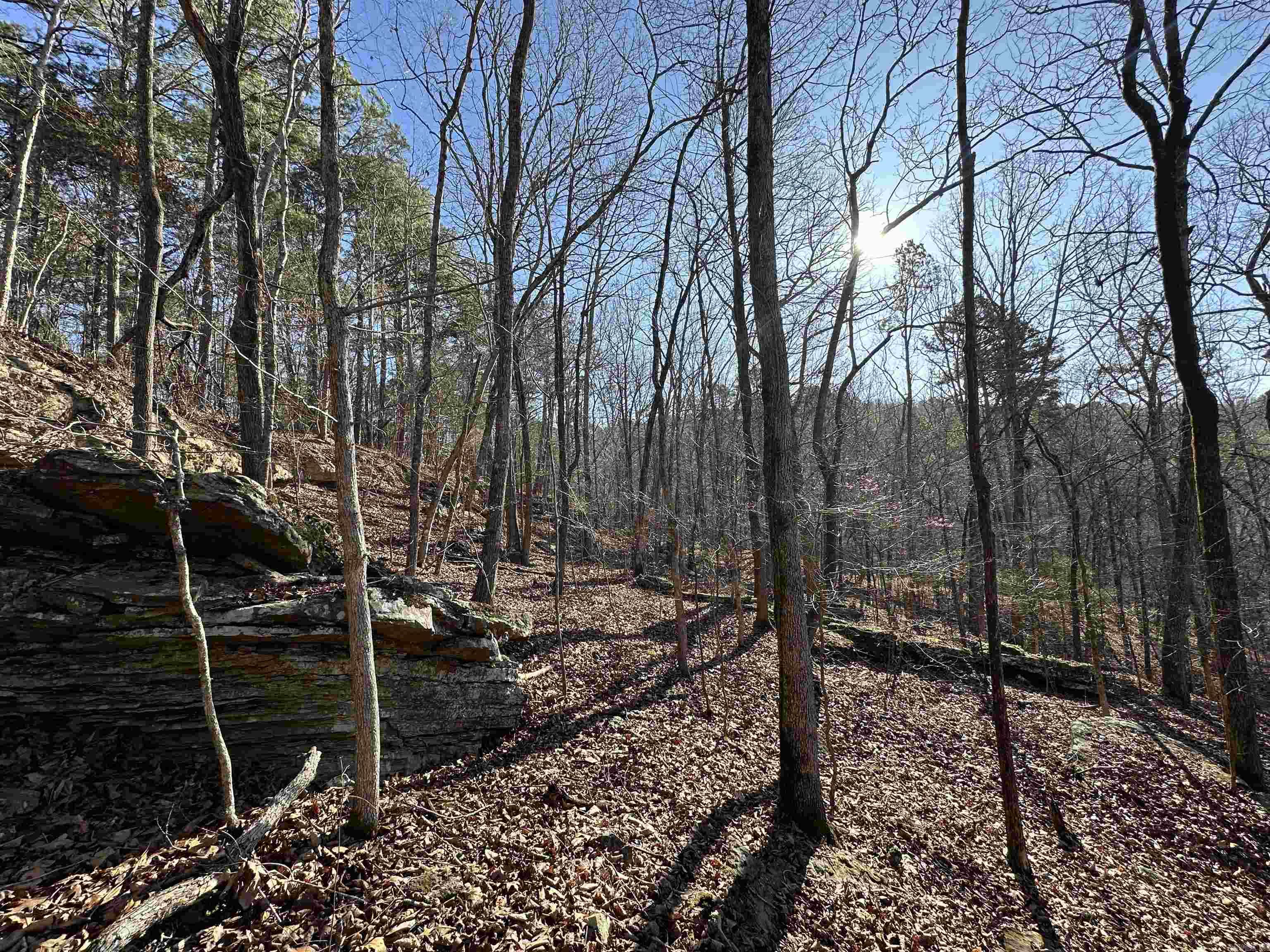 000 Bear Mountain Road Property Photo 15