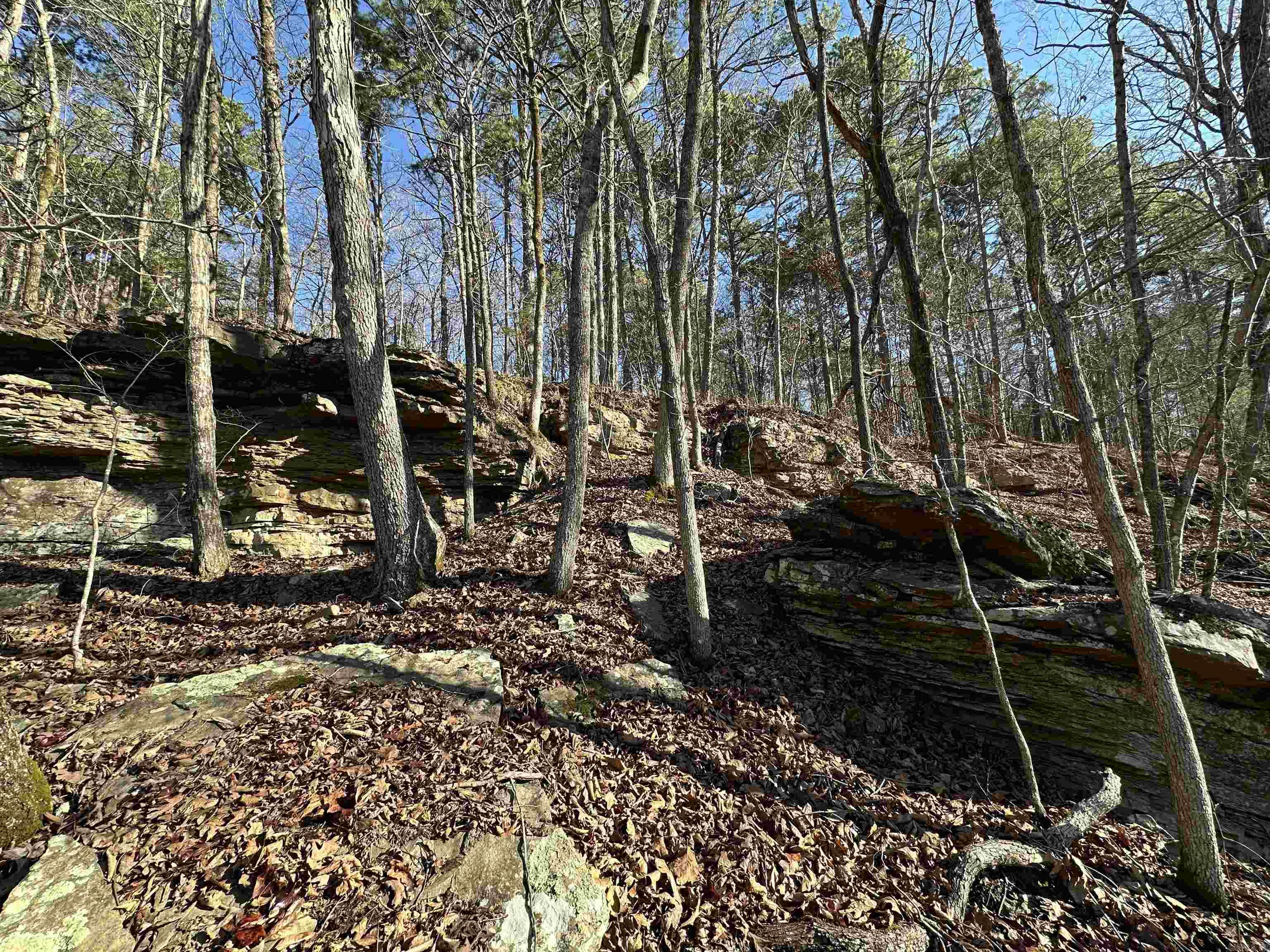 000 Bear Mountain Road Property Photo 16