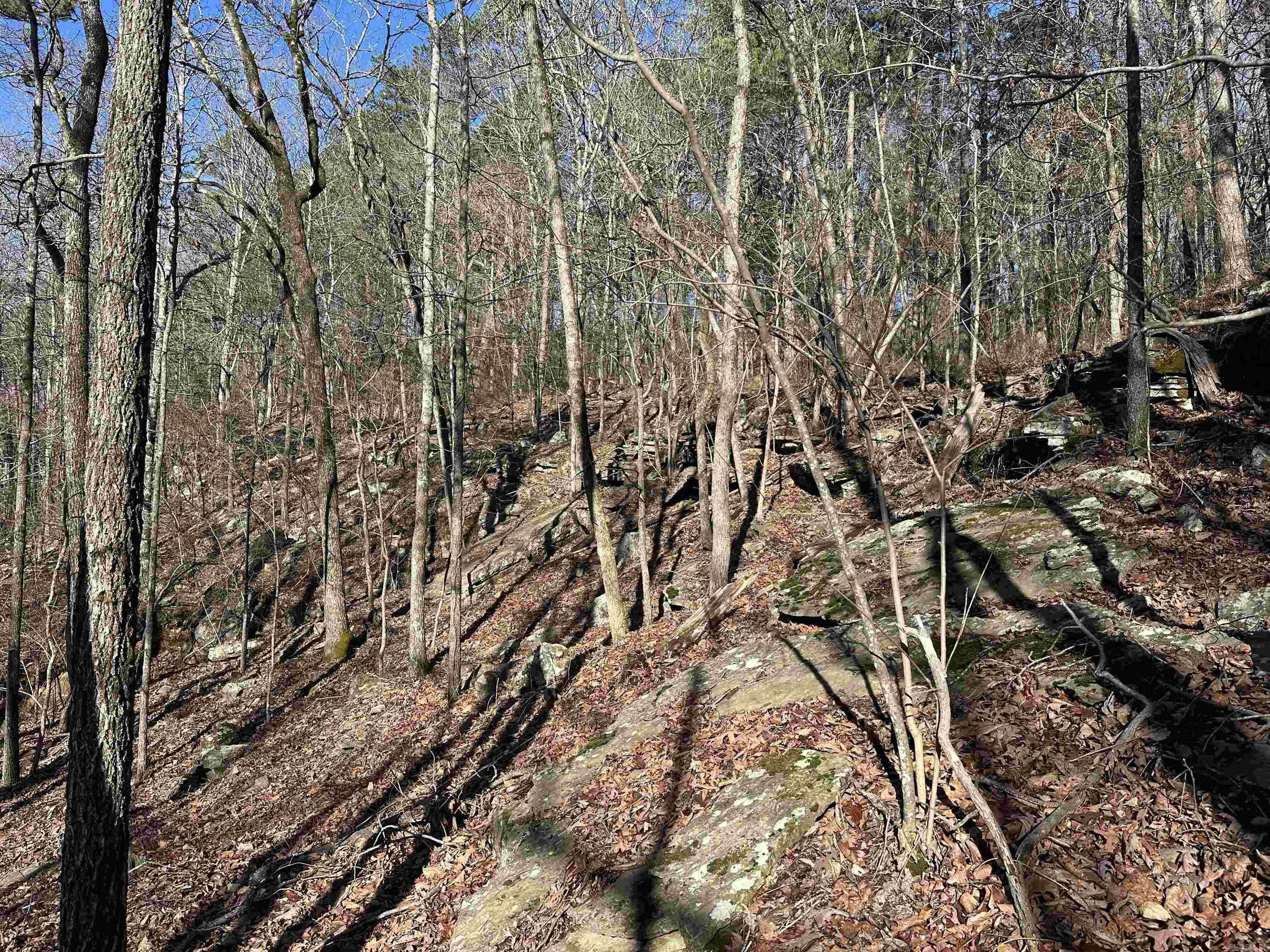 000 Bear Mountain Road Property Photo 17