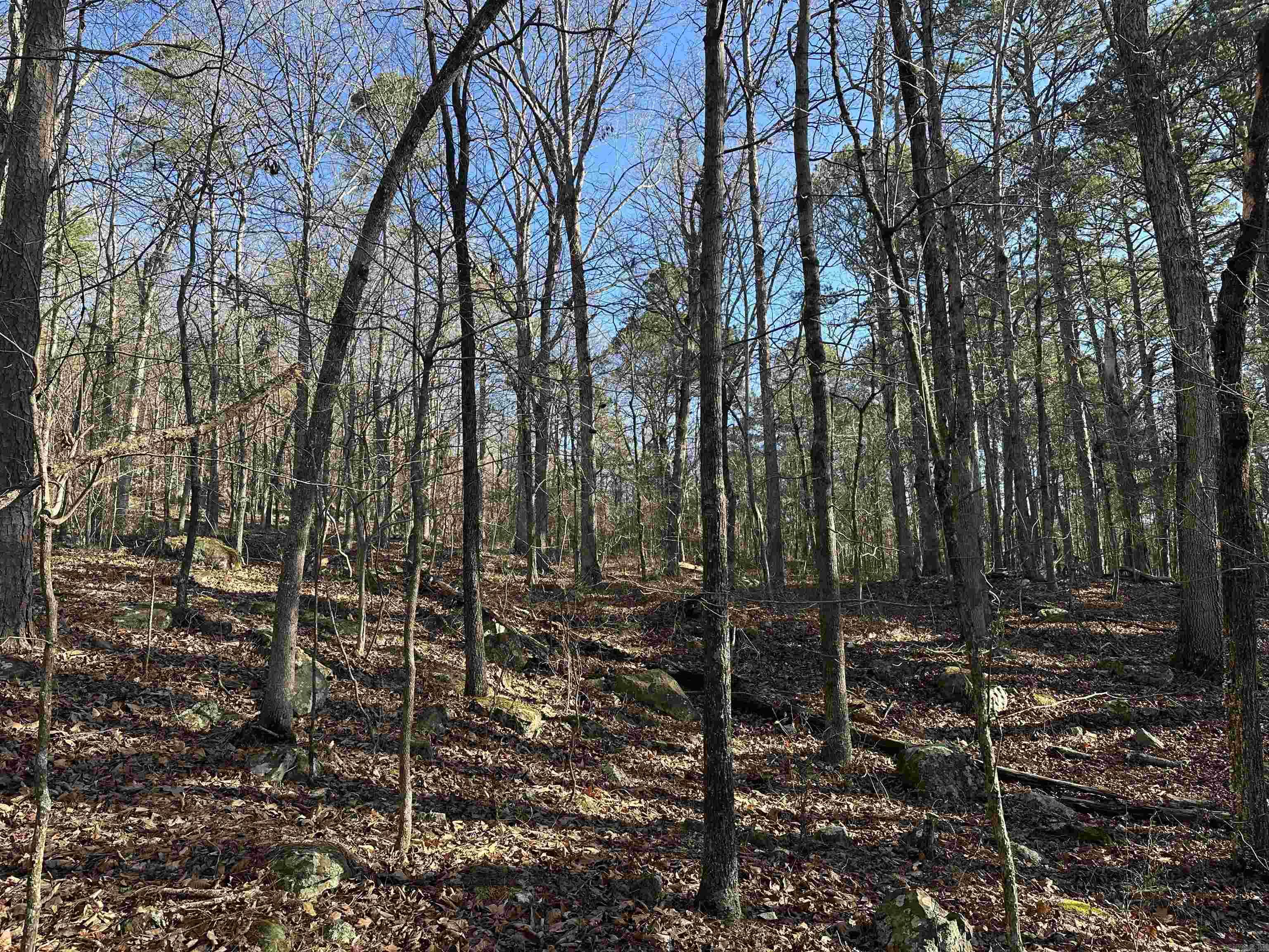 000 Bear Mountain Road Property Photo 18