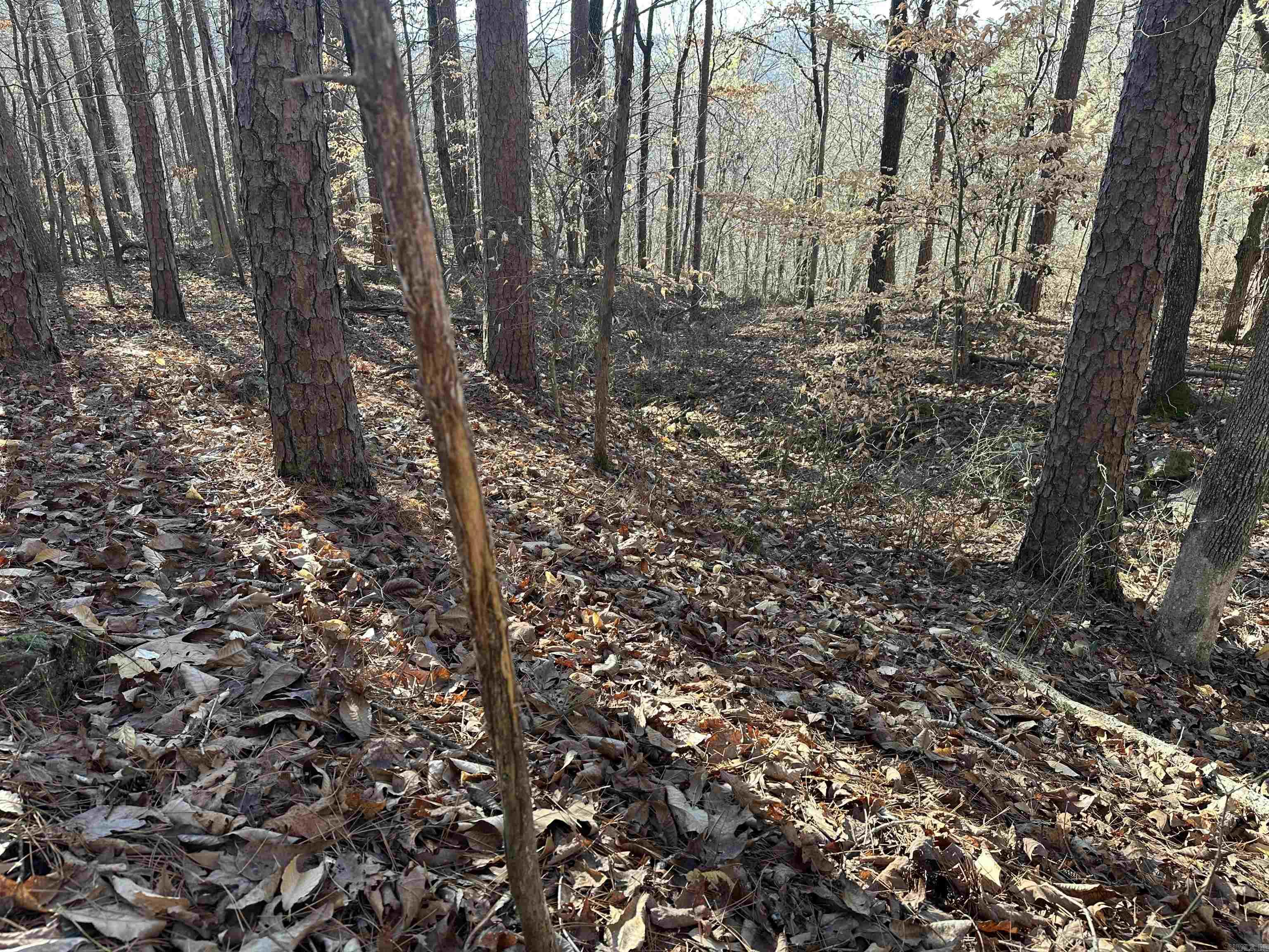 000 Bear Mountain Road Property Photo 19
