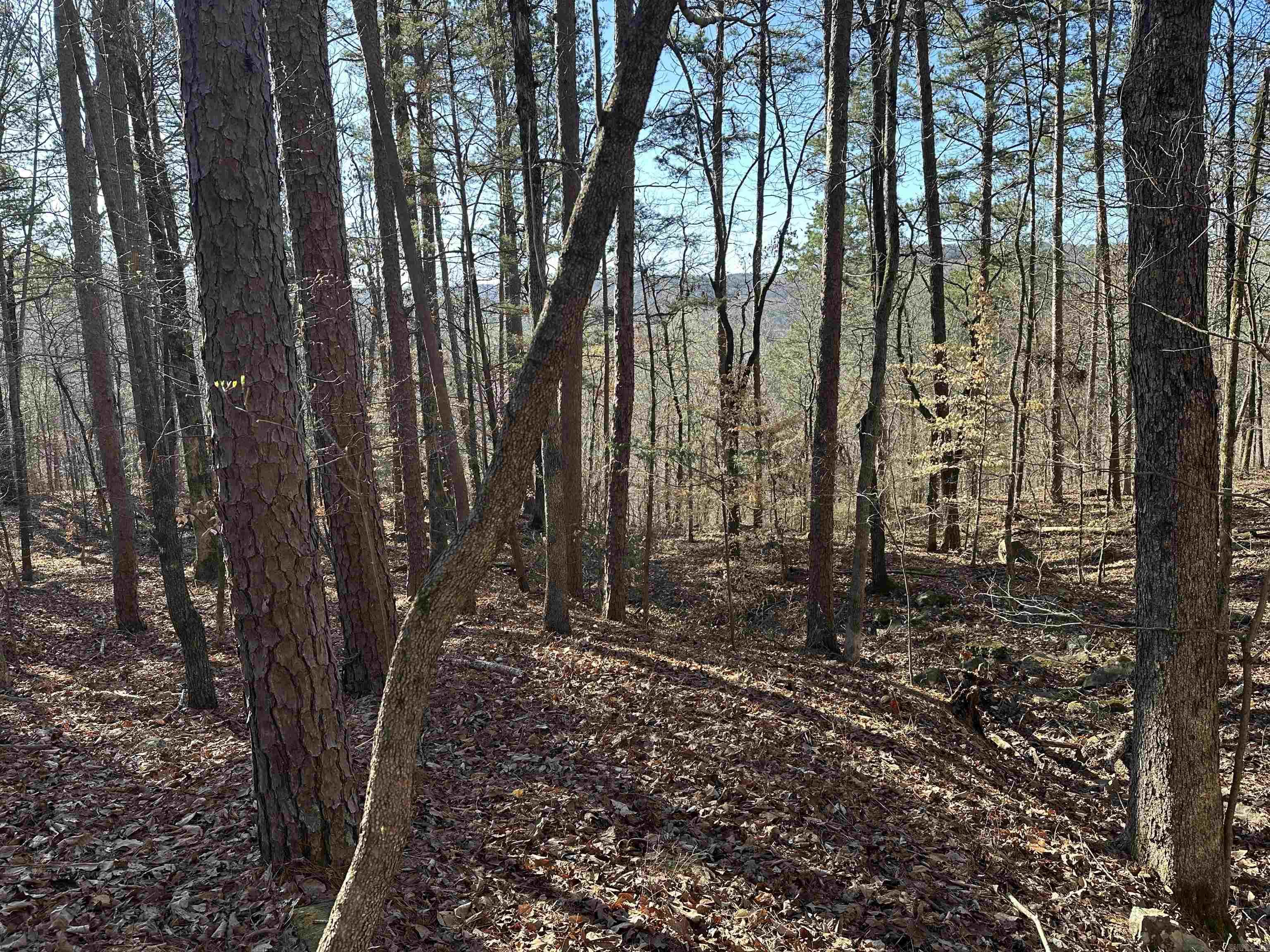 000 Bear Mountain Road Property Photo 20