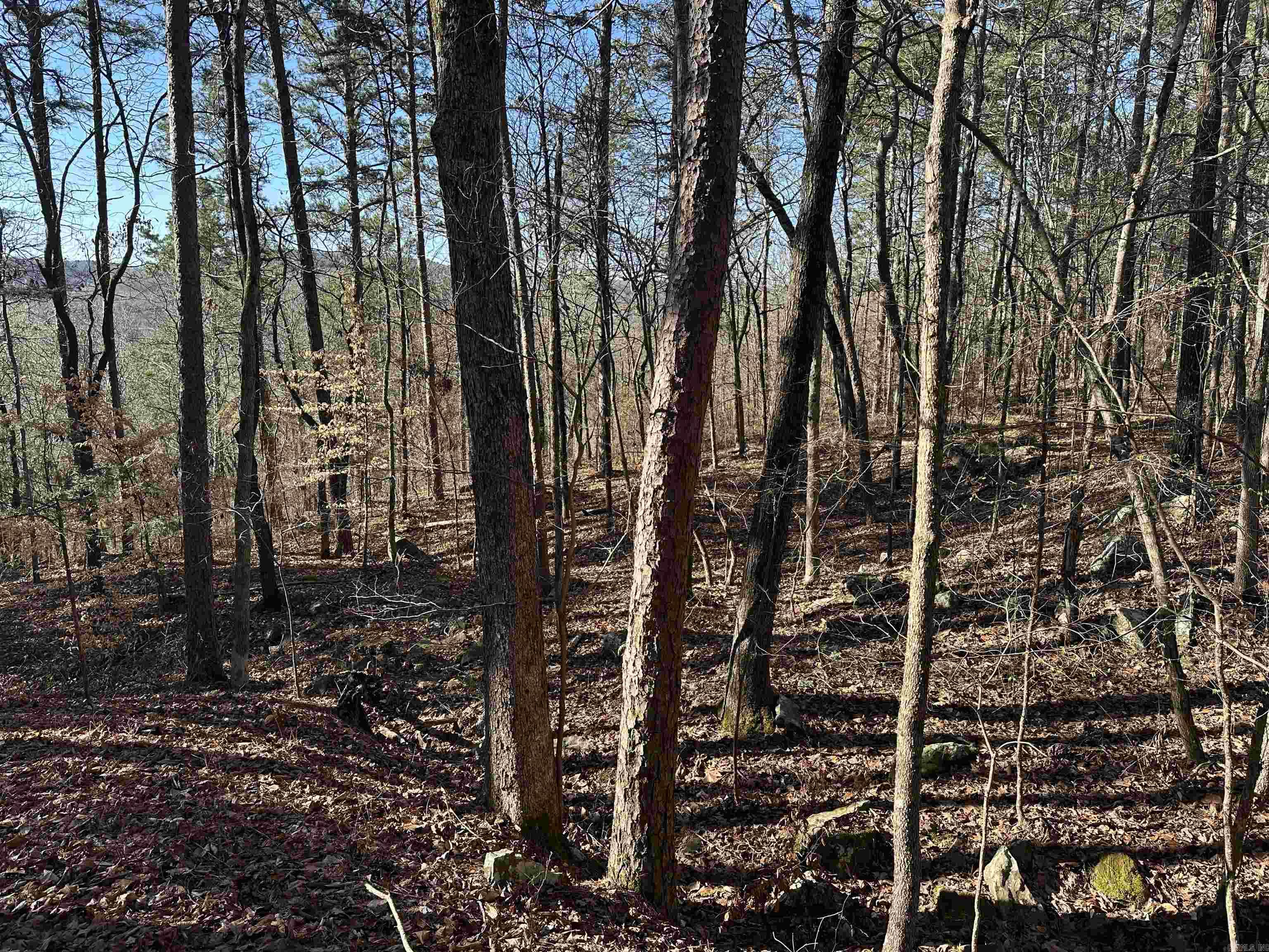 000 Bear Mountain Road Property Photo 21