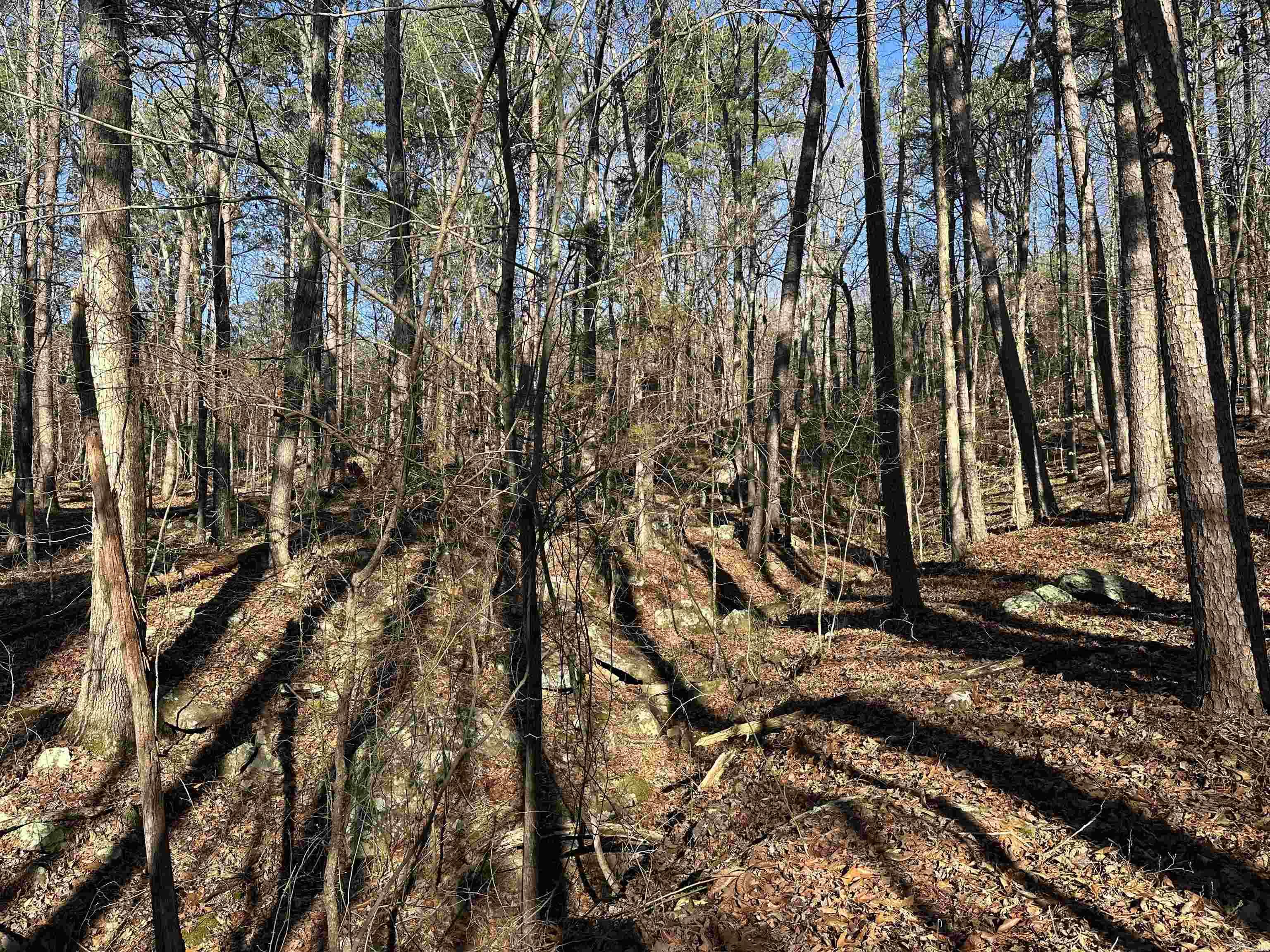 000 Bear Mountain Road Property Photo 22