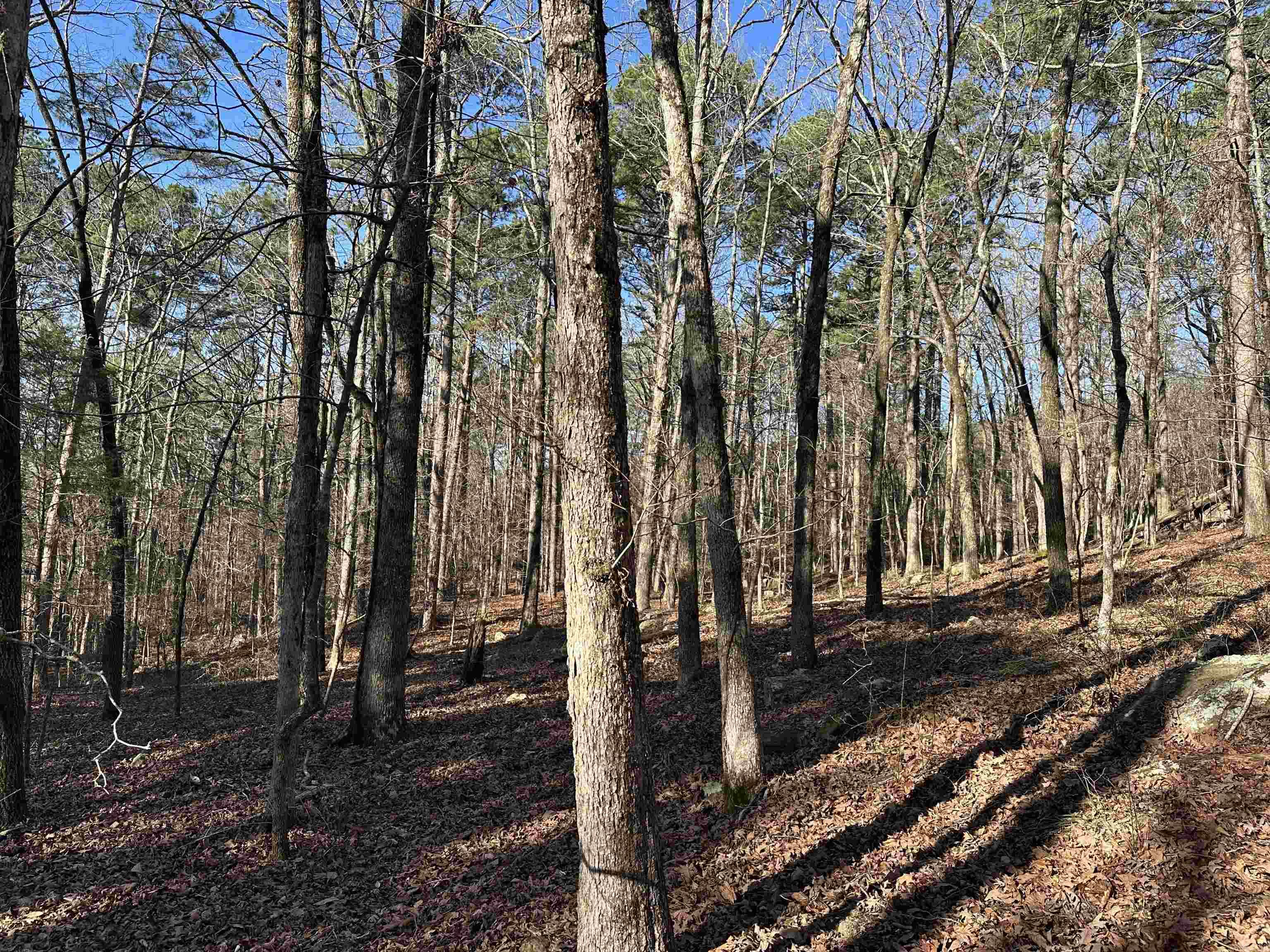 000 Bear Mountain Road Property Photo 23