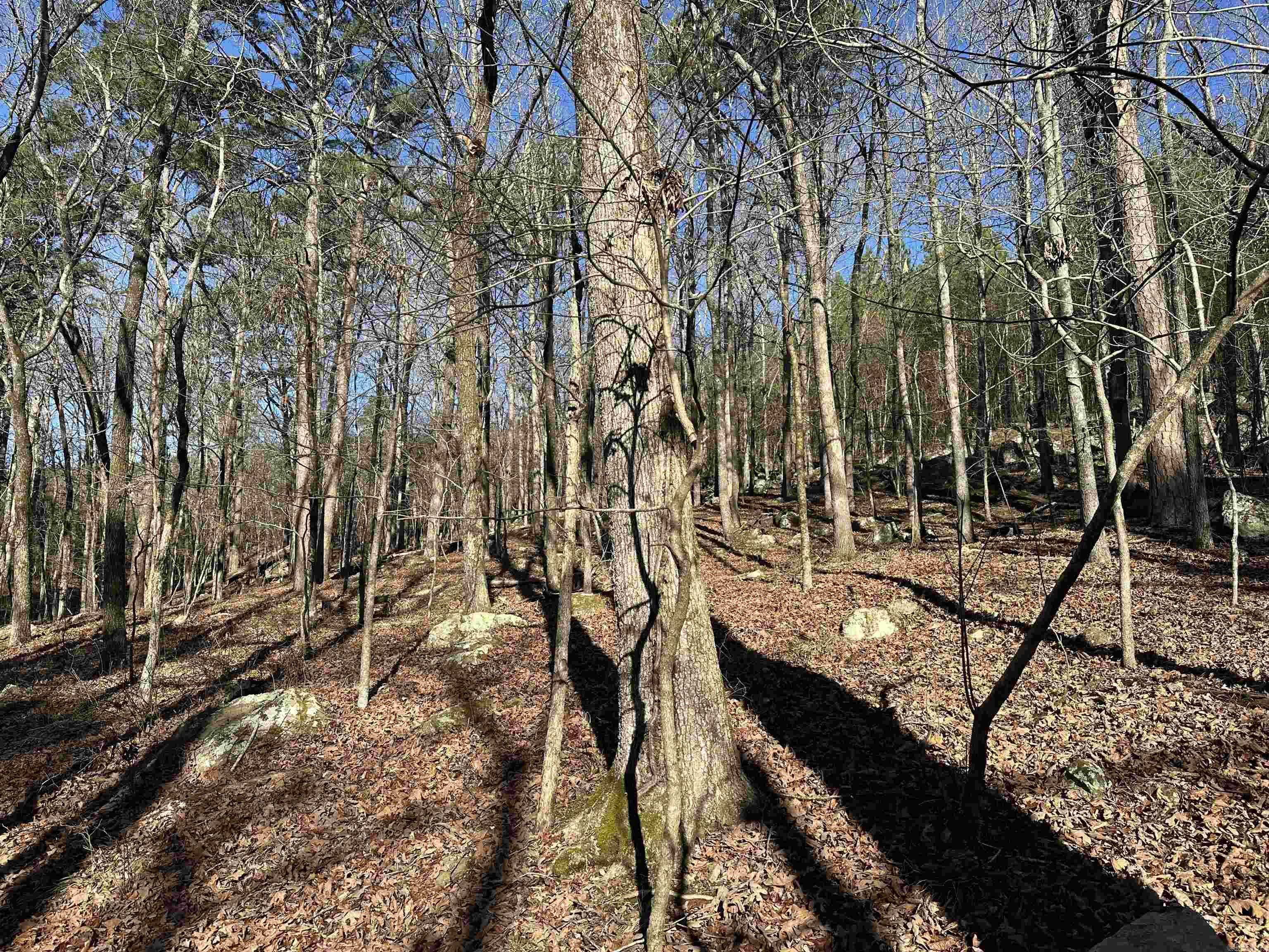 000 Bear Mountain Road Property Photo 24
