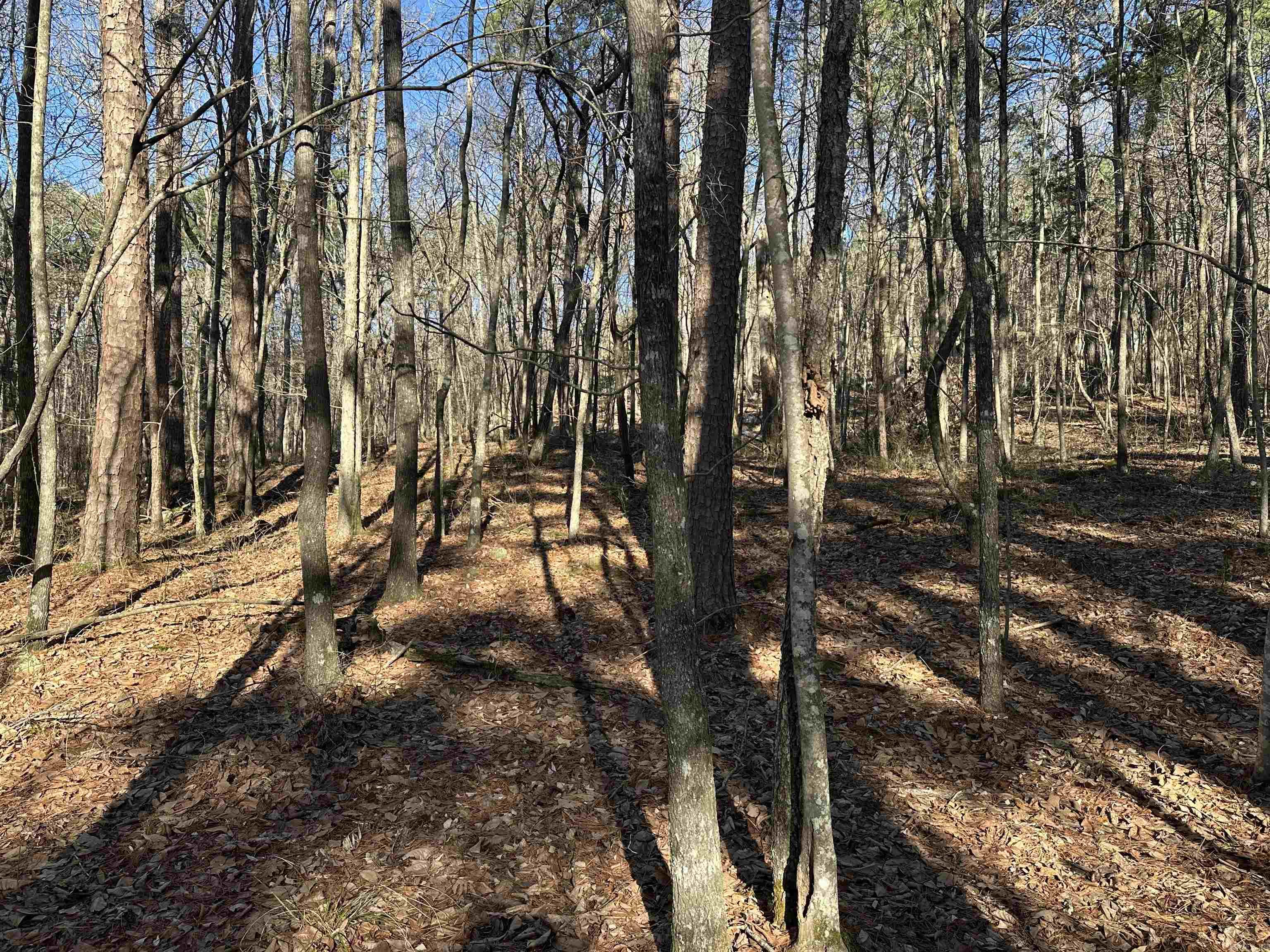 000 Bear Mountain Road Property Photo 25