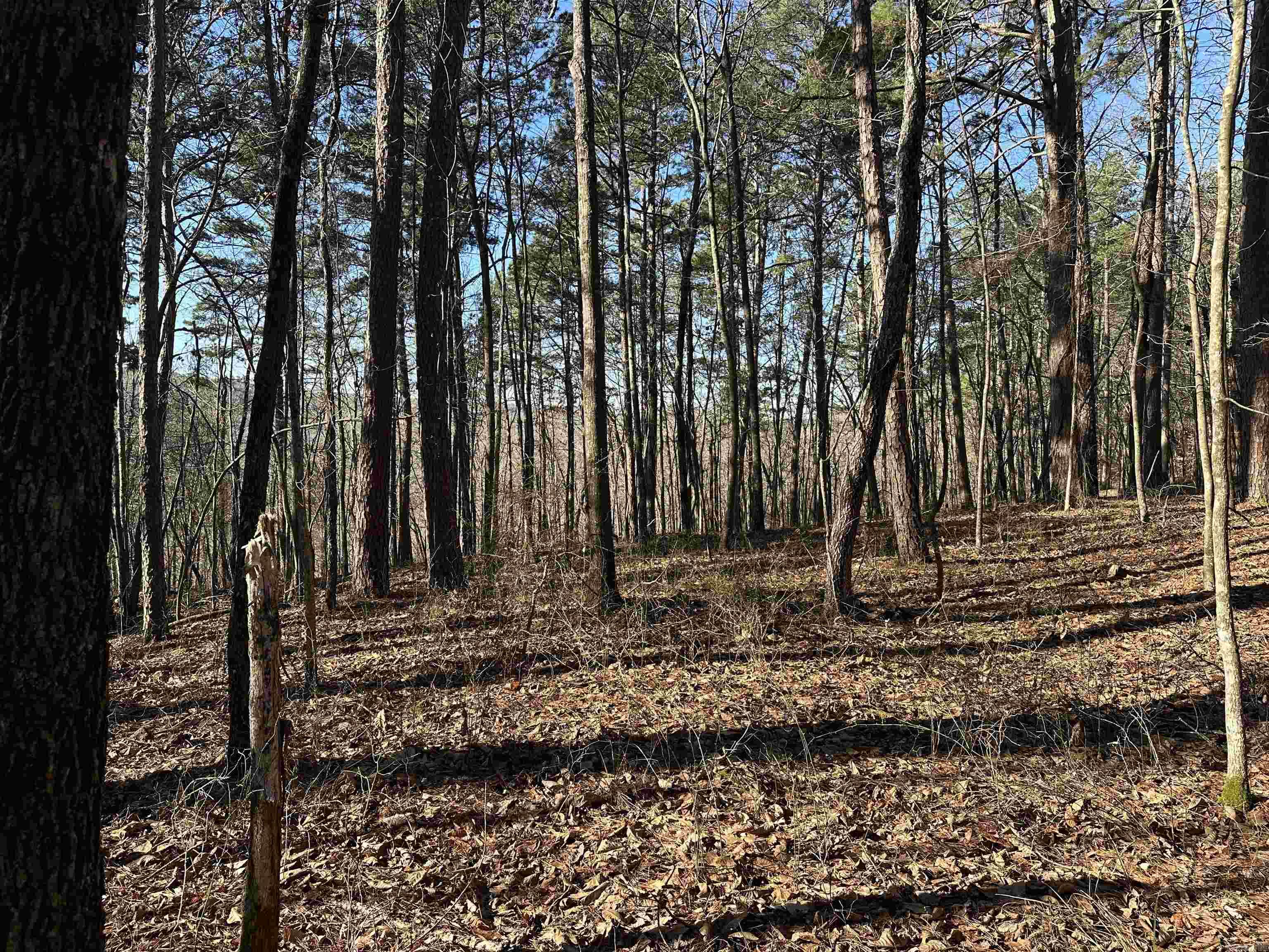 000 Bear Mountain Road Property Photo 26
