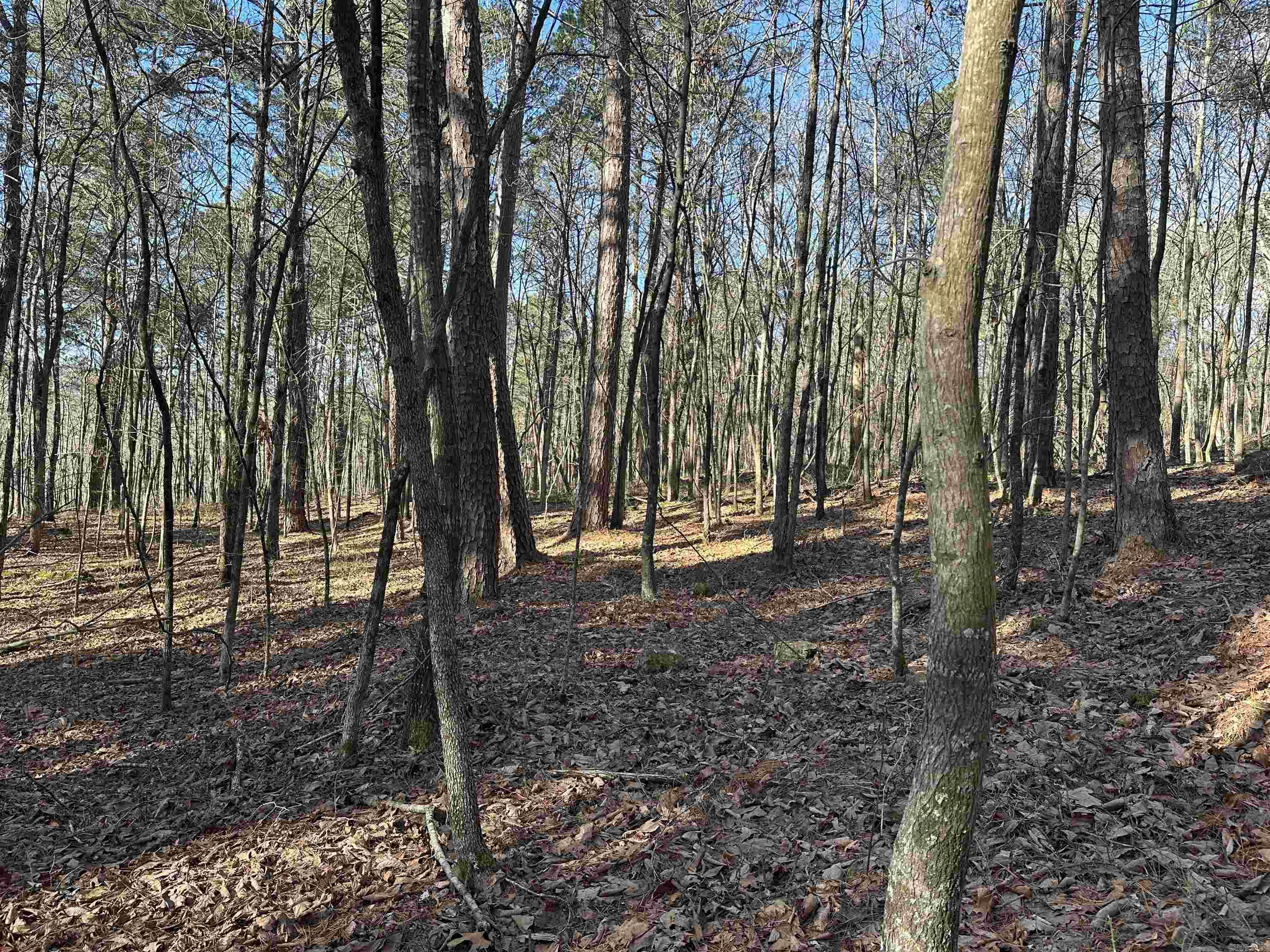 000 Bear Mountain Road Property Photo 27