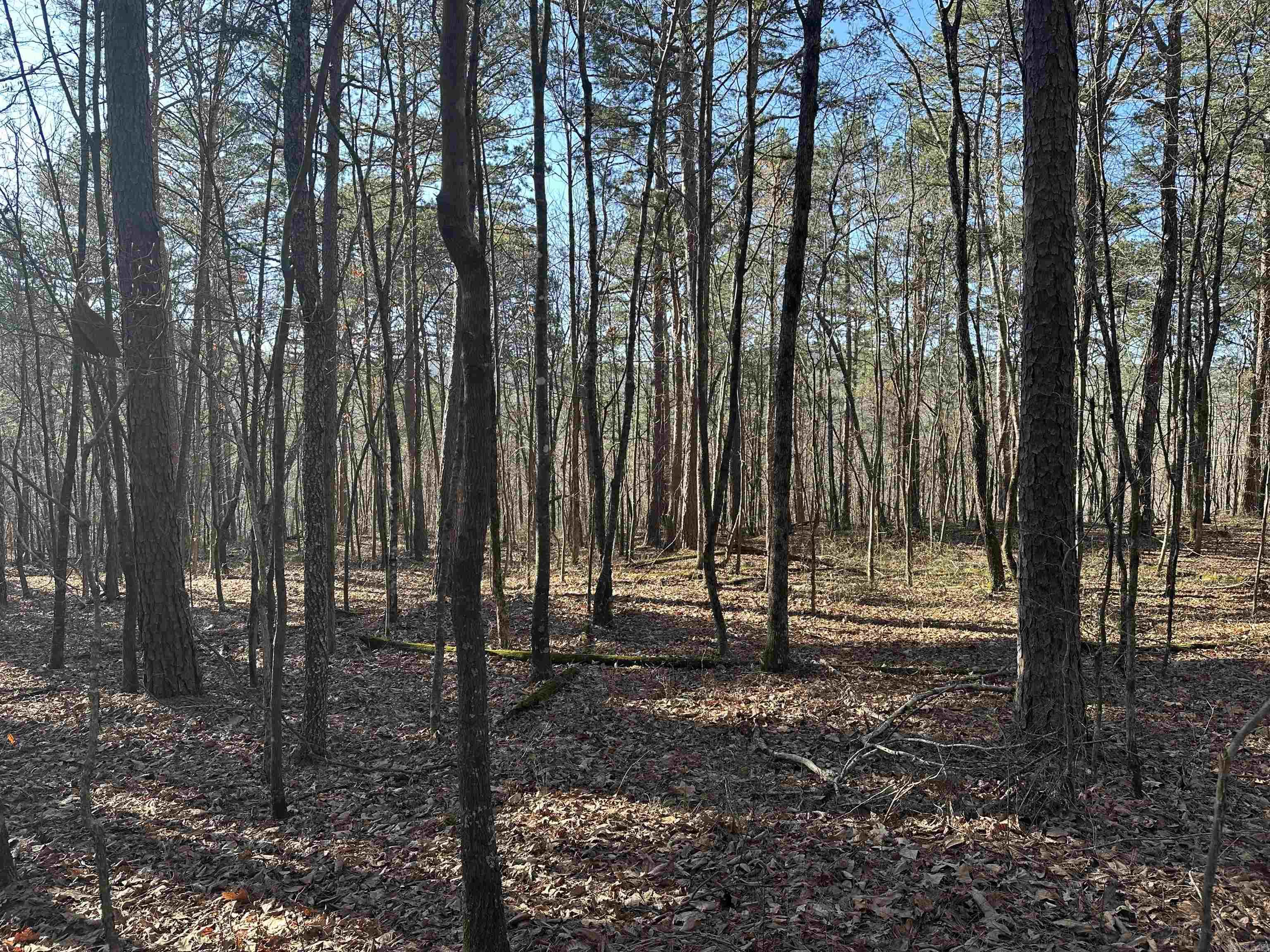 000 Bear Mountain Road Property Photo 28