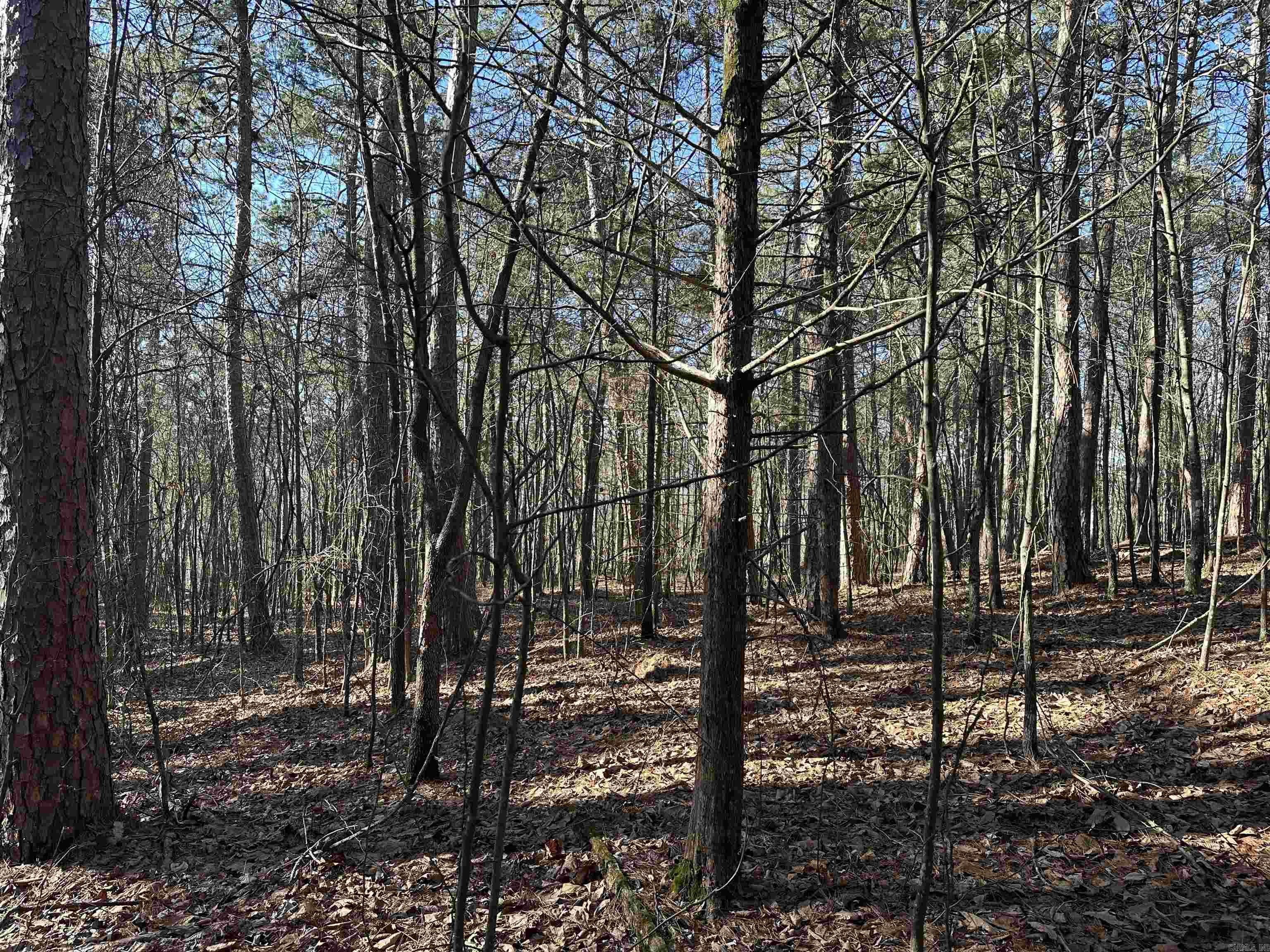 000 Bear Mountain Road Property Photo 29