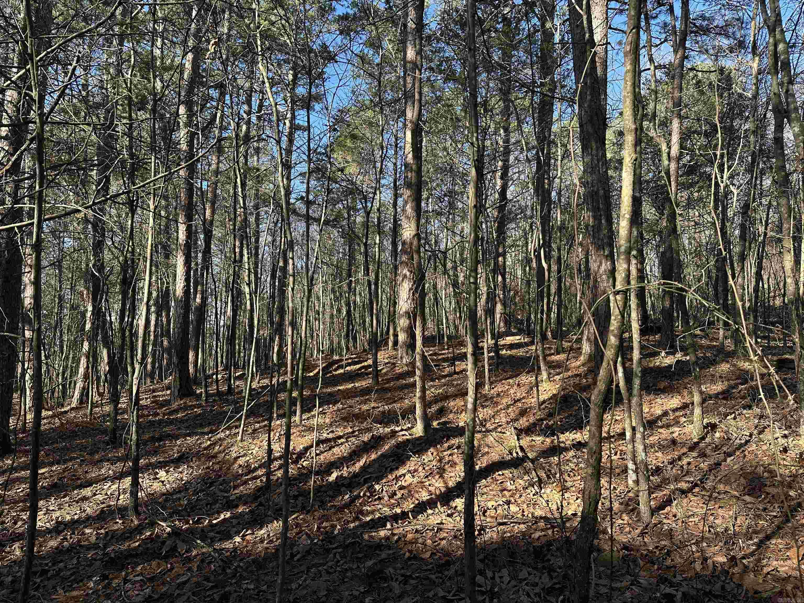 000 Bear Mountain Road Property Photo 30