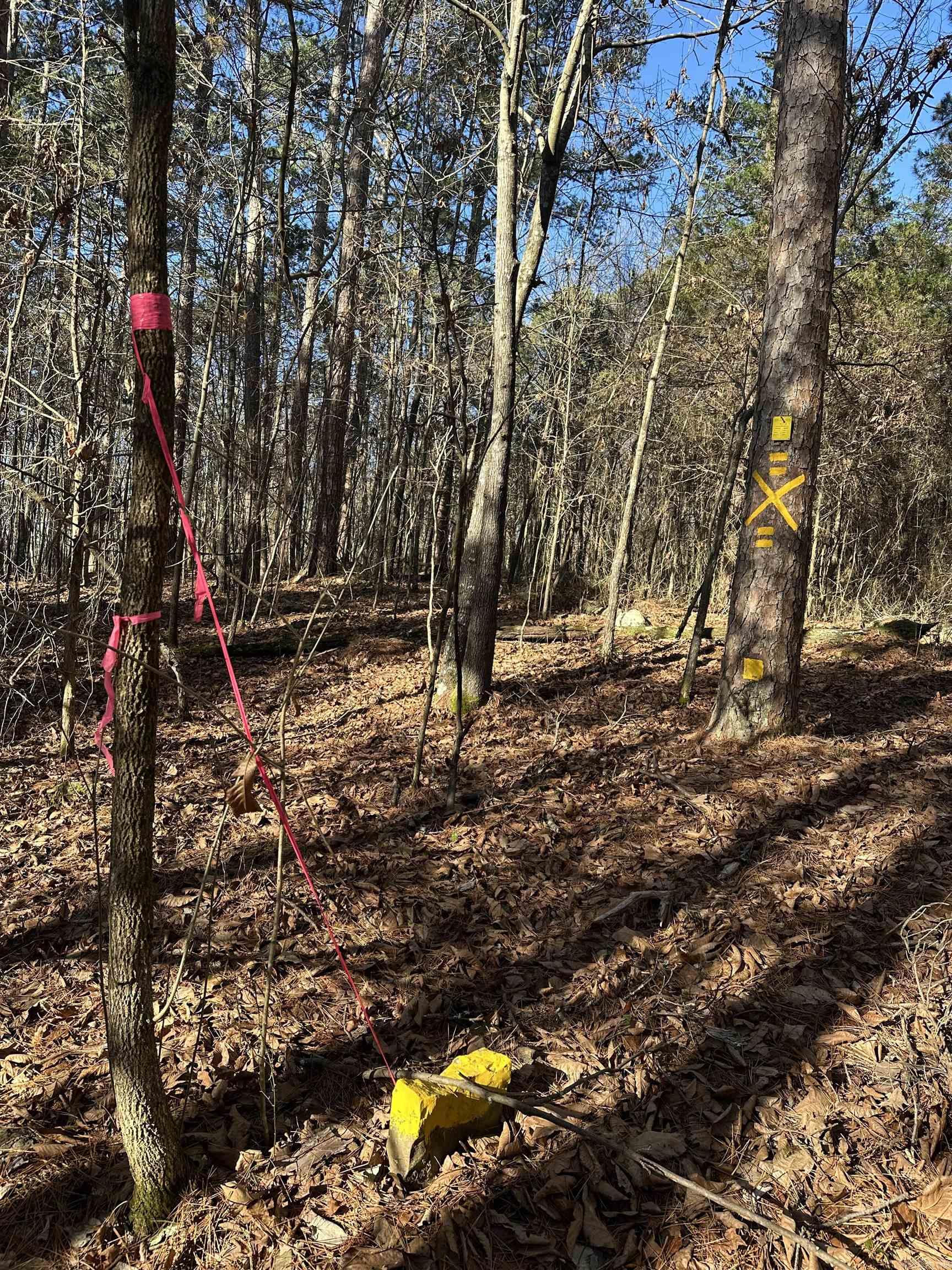 000 Bear Mountain Road Property Photo 31