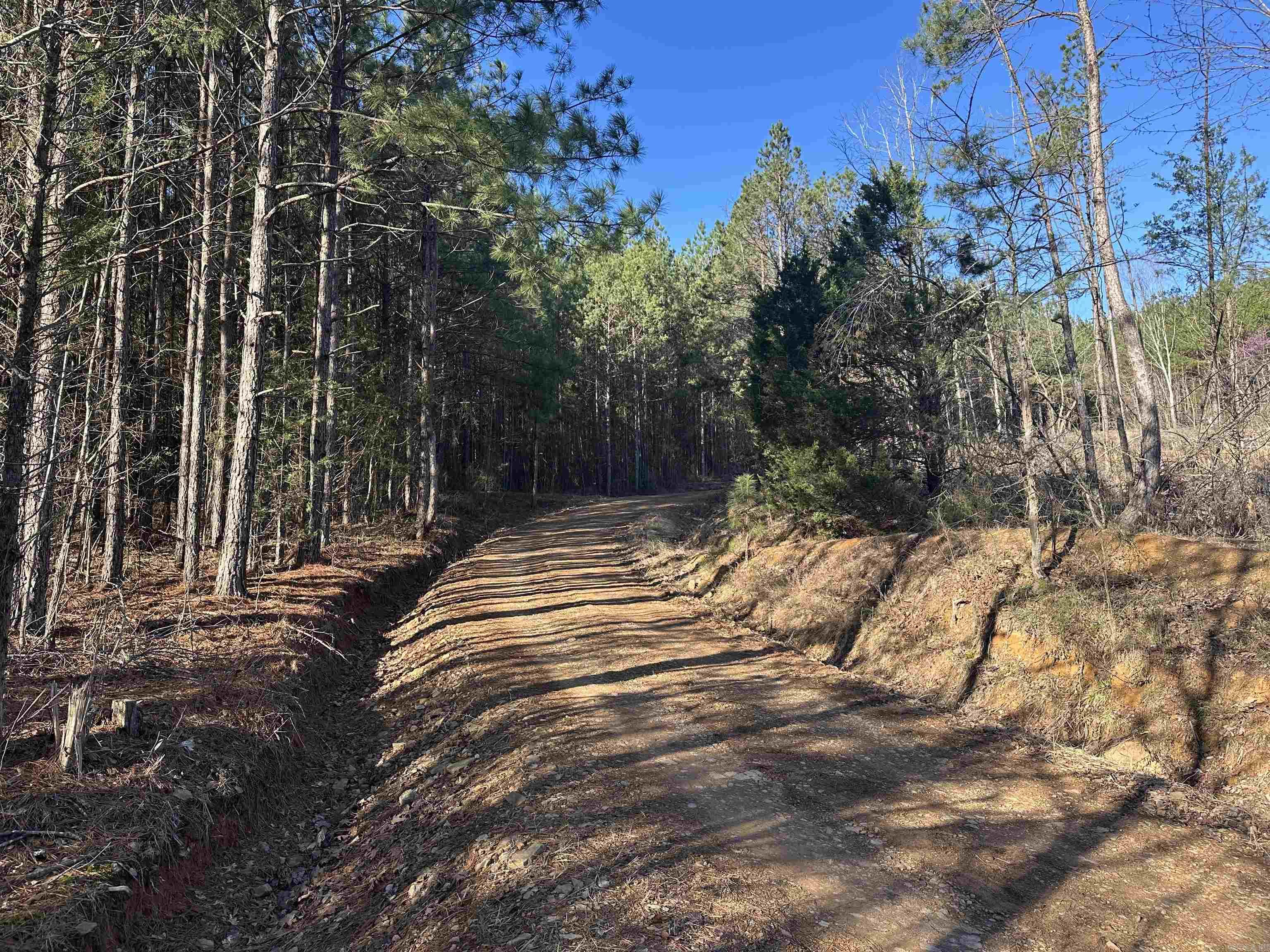 000 Bear Mountain Road Property Photo 33