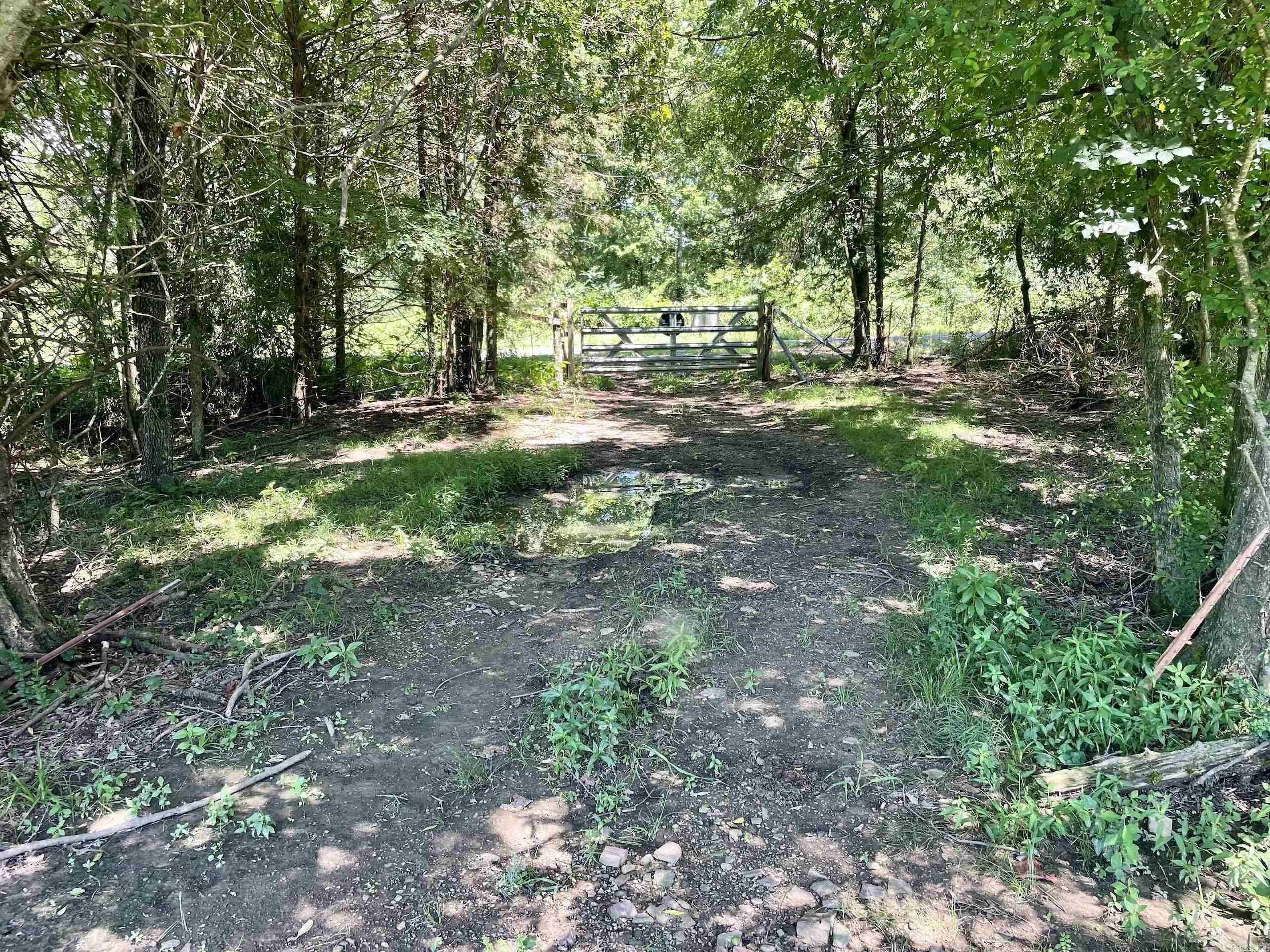 1250 Cr 2651 Property Photo 15