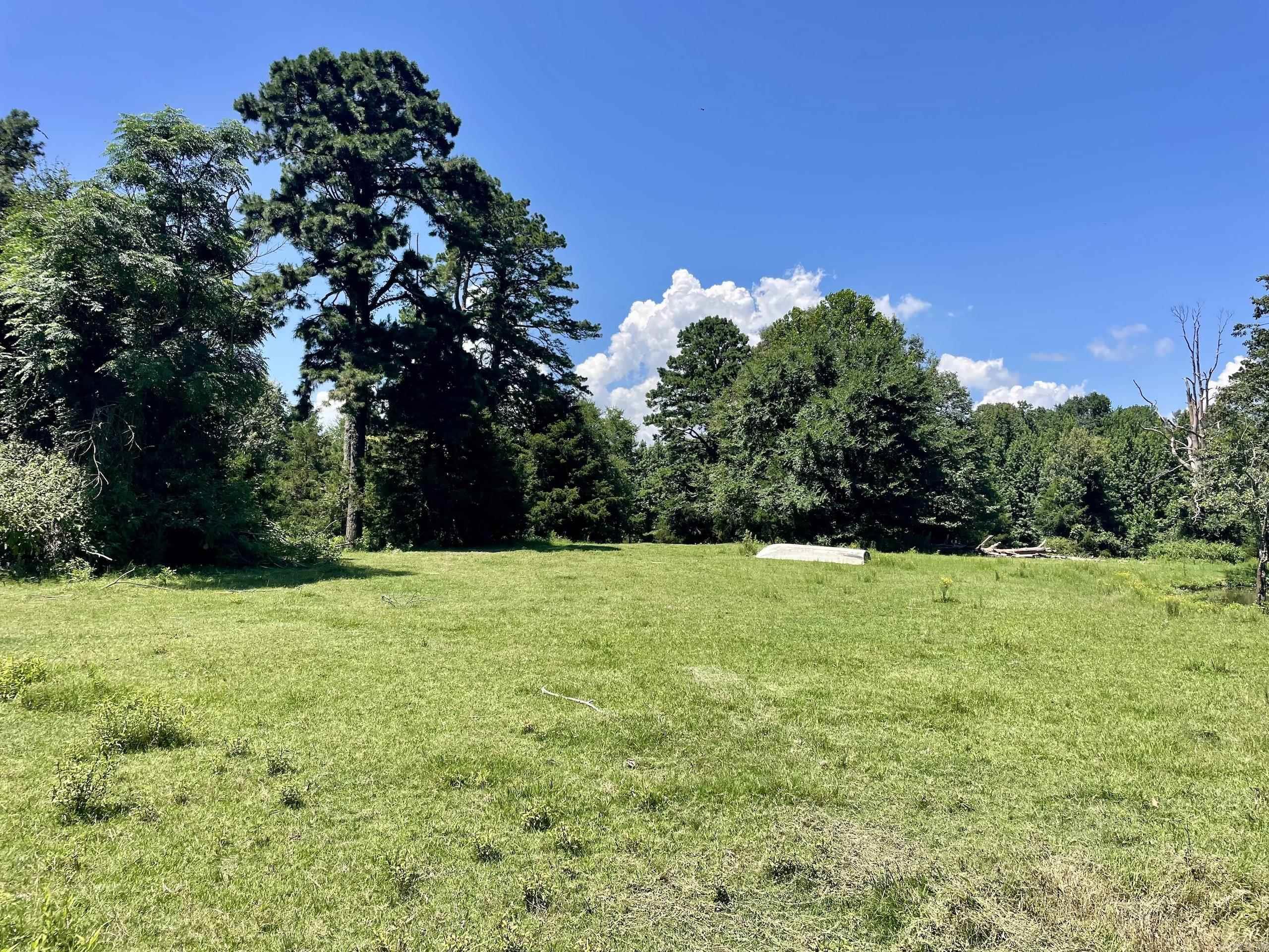 1250 Cr 2651 Property Photo 39