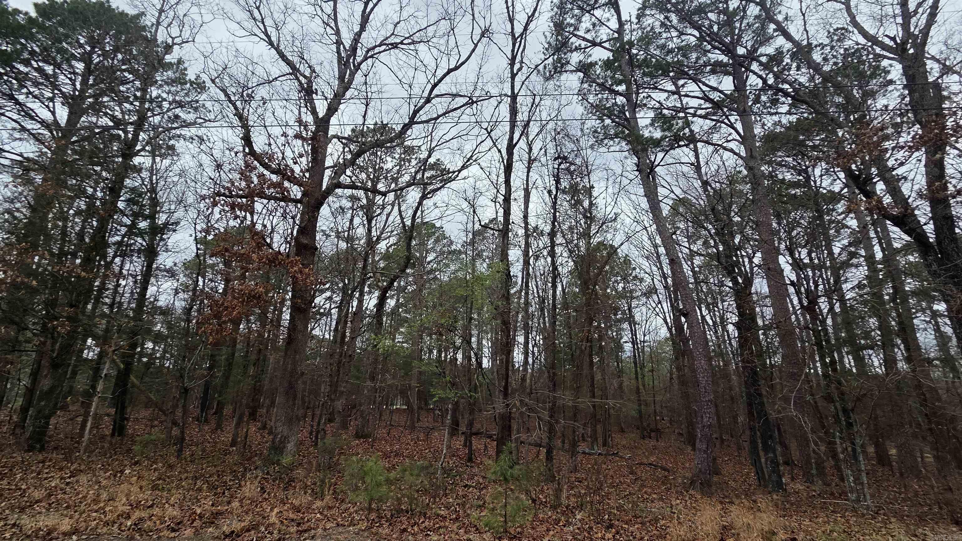 000 Hilltop Drive Property Photo 2