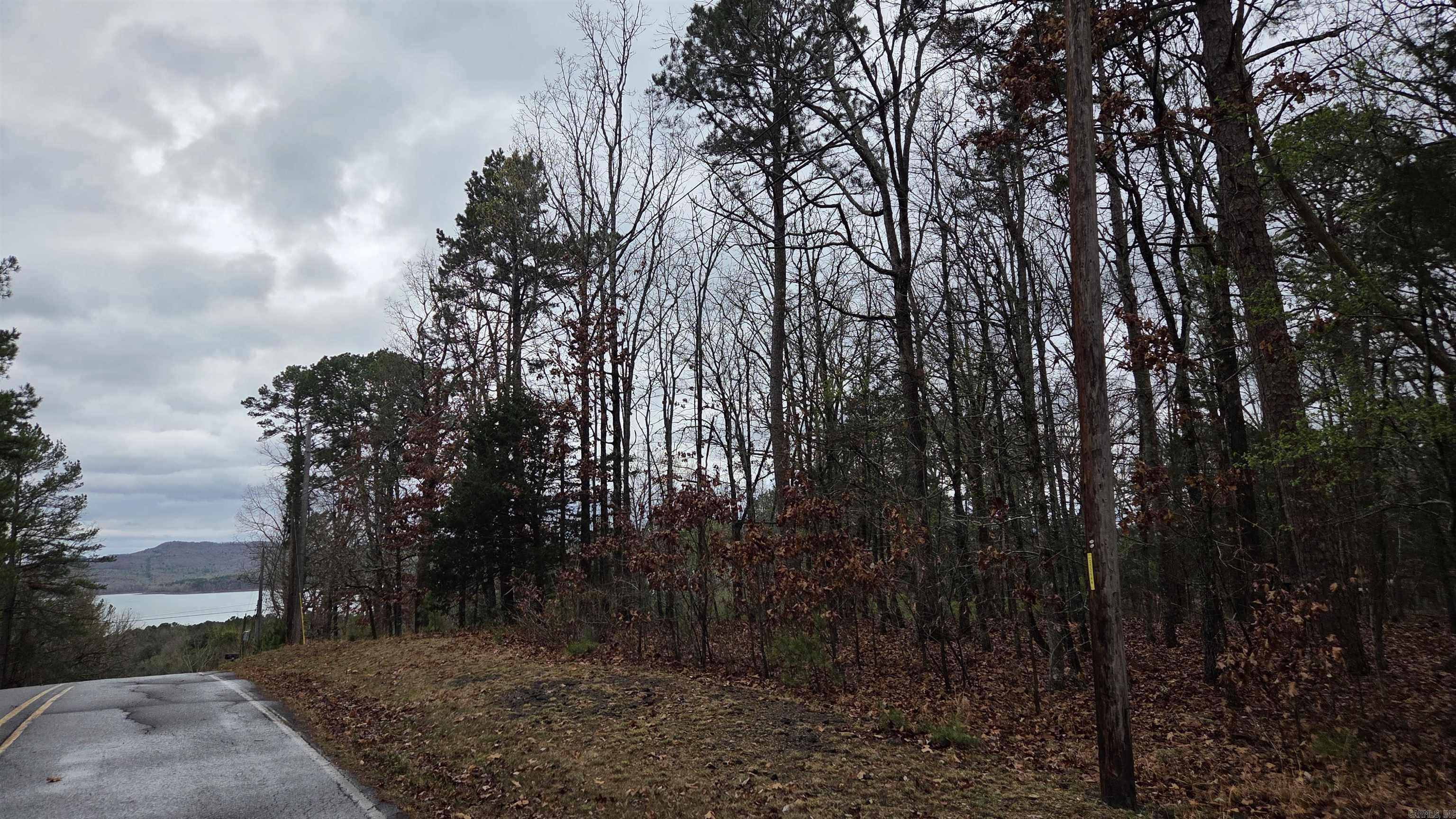 000 Hilltop Drive Property Photo 4