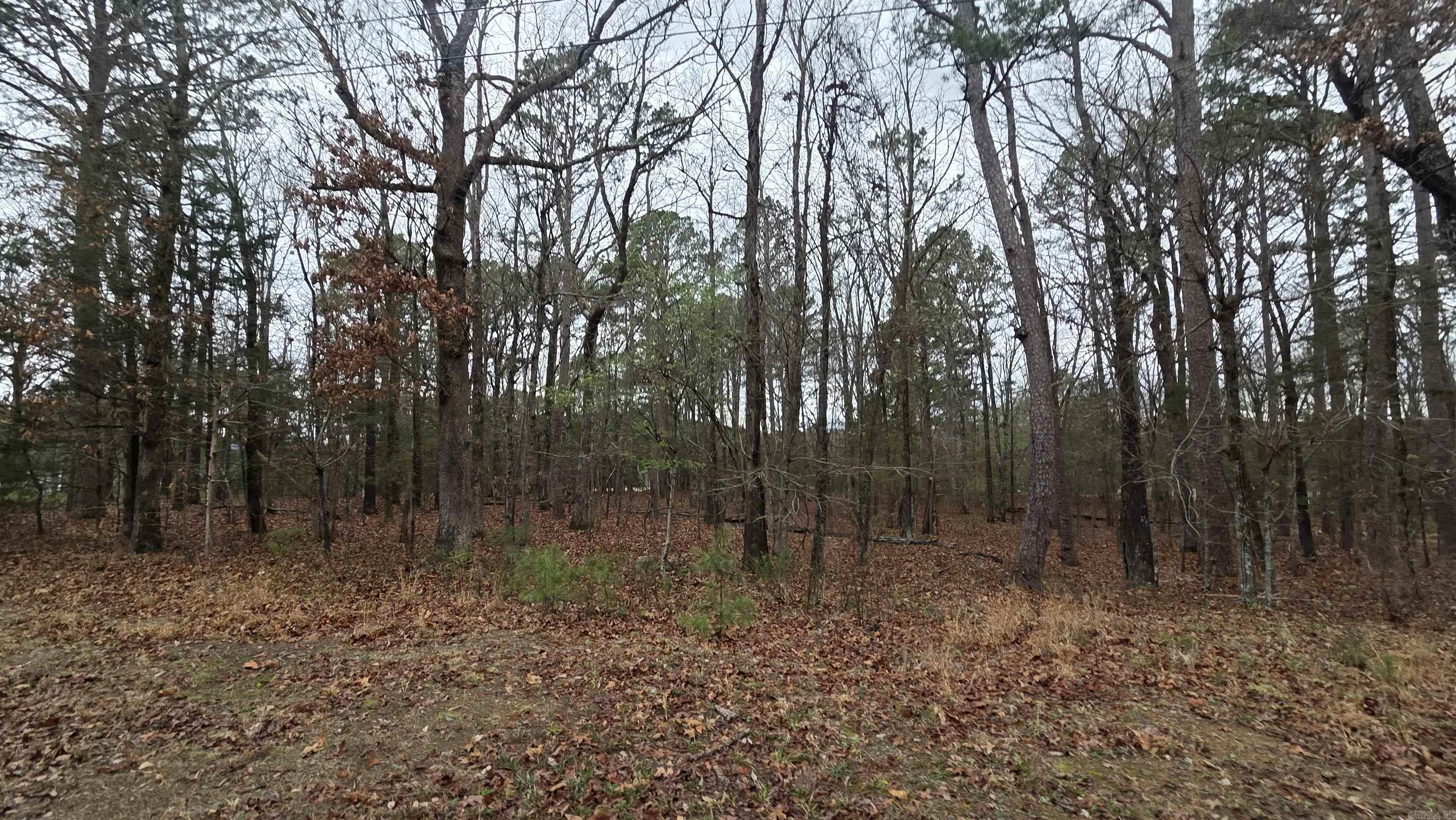 000 Hilltop Drive Property Photo 5
