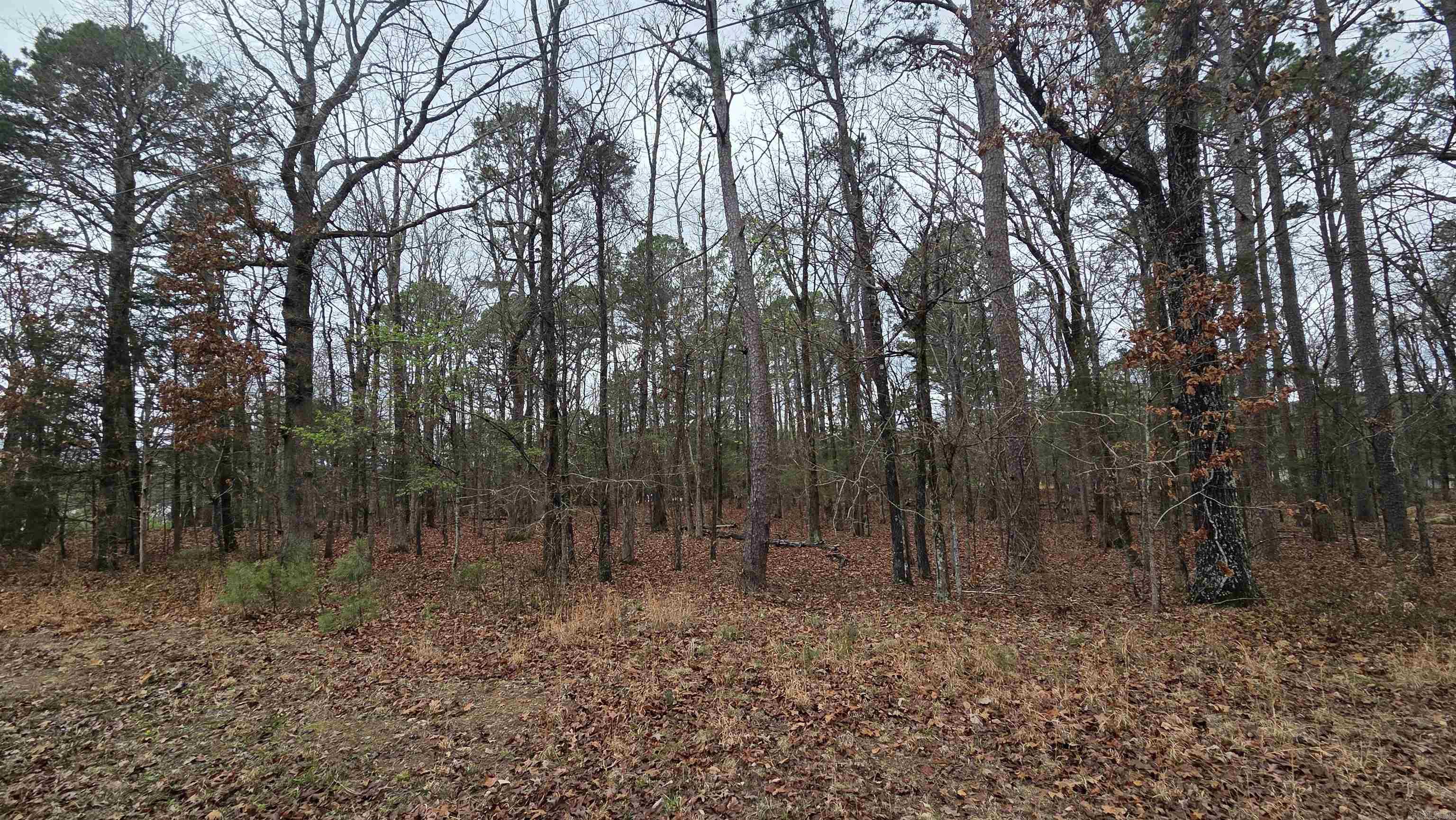 000 Hilltop Drive Property Photo 7