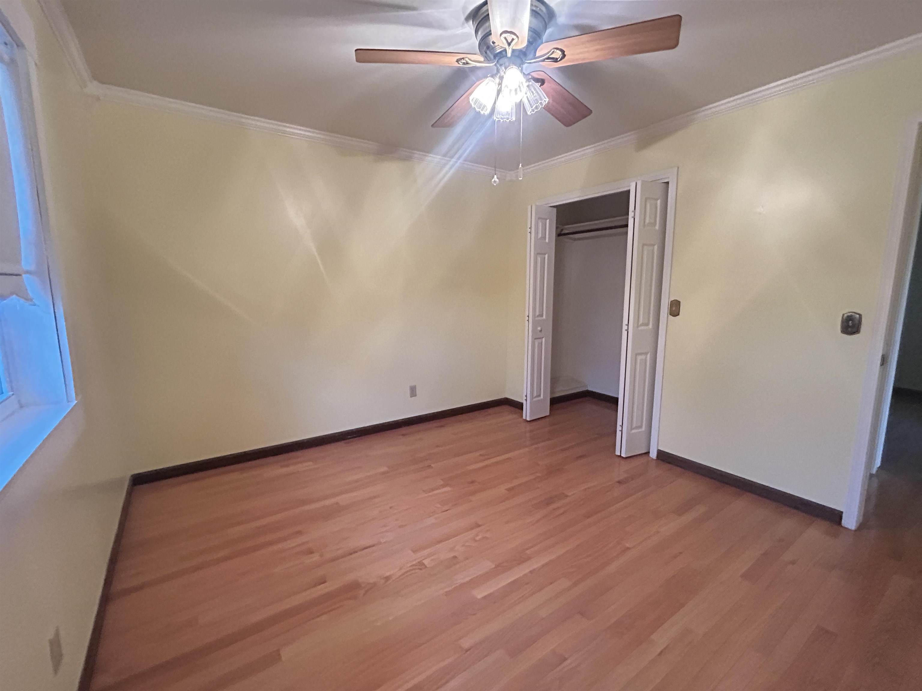 404 Evans Road Property Photo 18