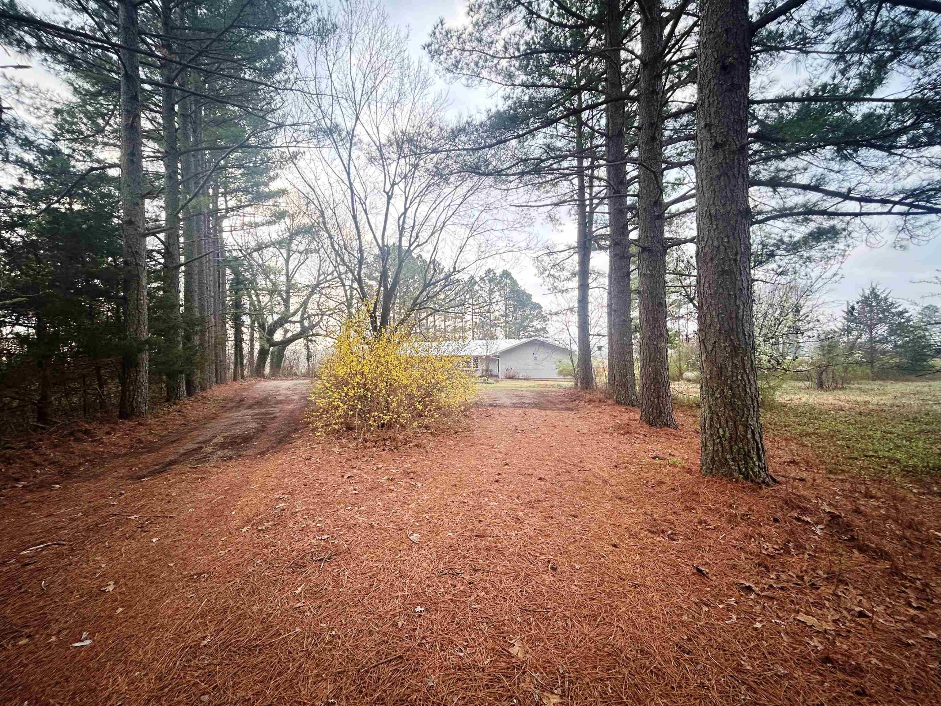 404 Evans Road Property Photo 47