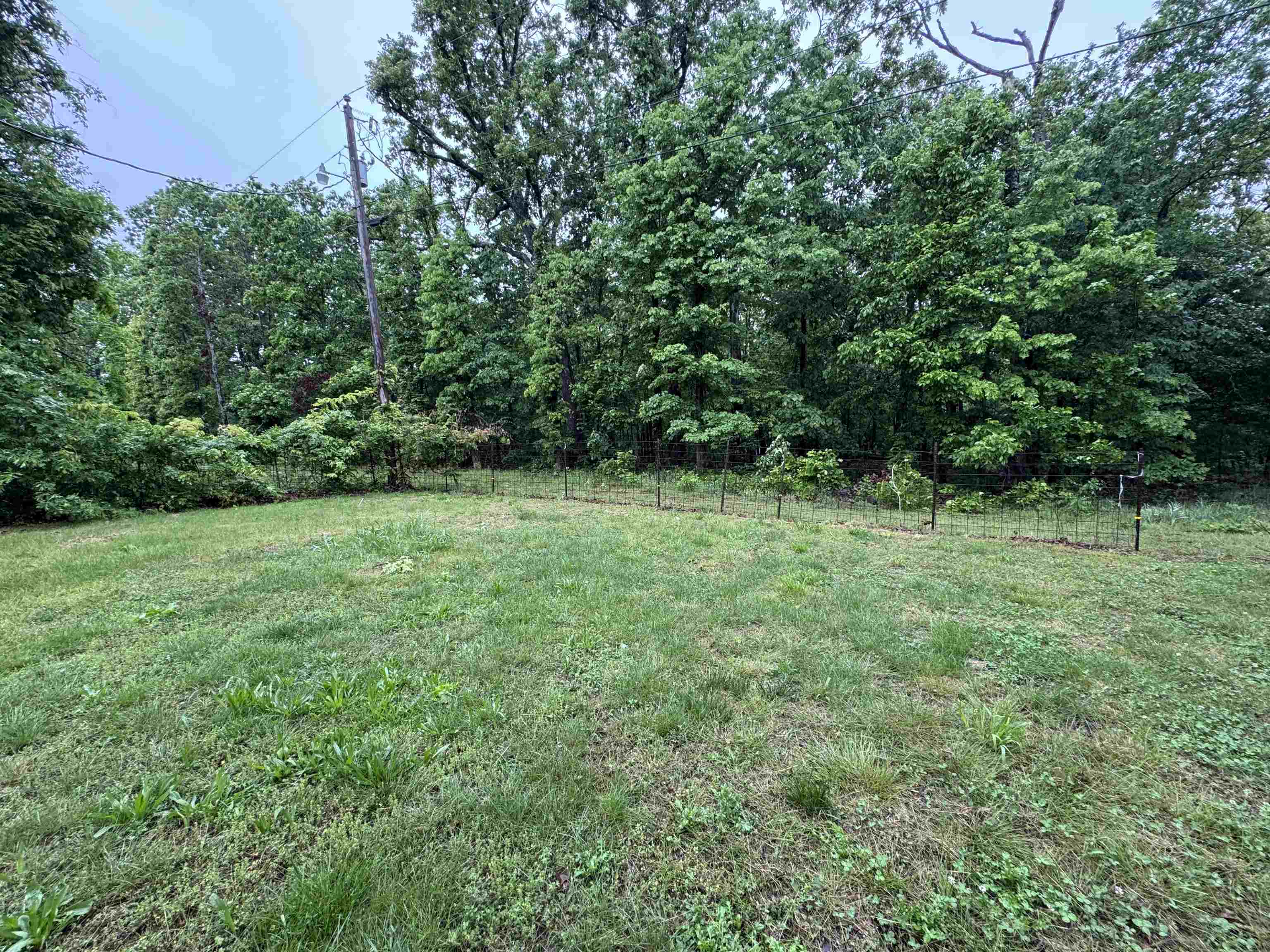 900 Oakwood Drive Property Photo 4