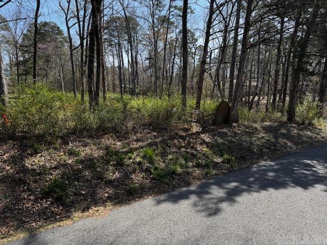 Lot 54 Silagy Property Photo 1