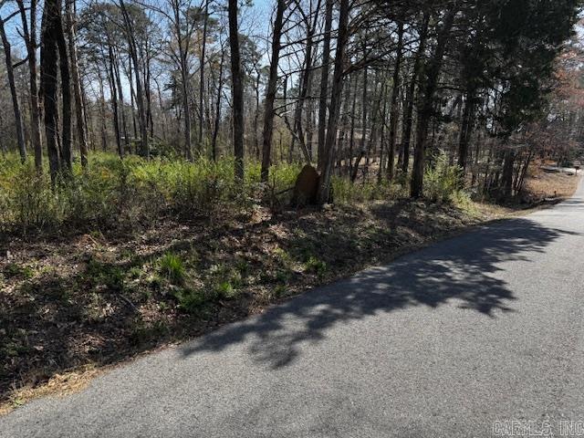 Lot 54 Silagy Property Photo 2