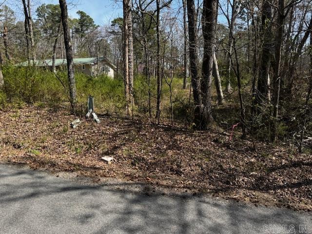 Lot 54 Silagy Property Photo 3