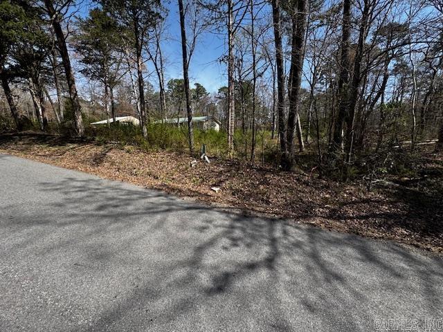 Lot 54 Silagy Property Photo 4