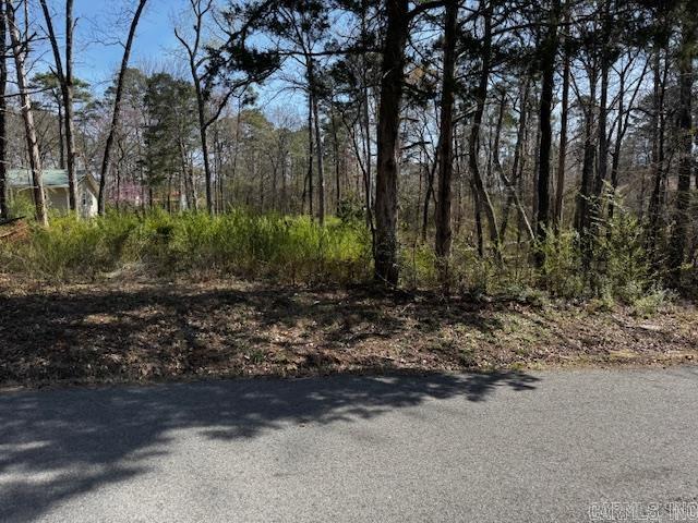 Lot 54 Silagy Property Photo 6